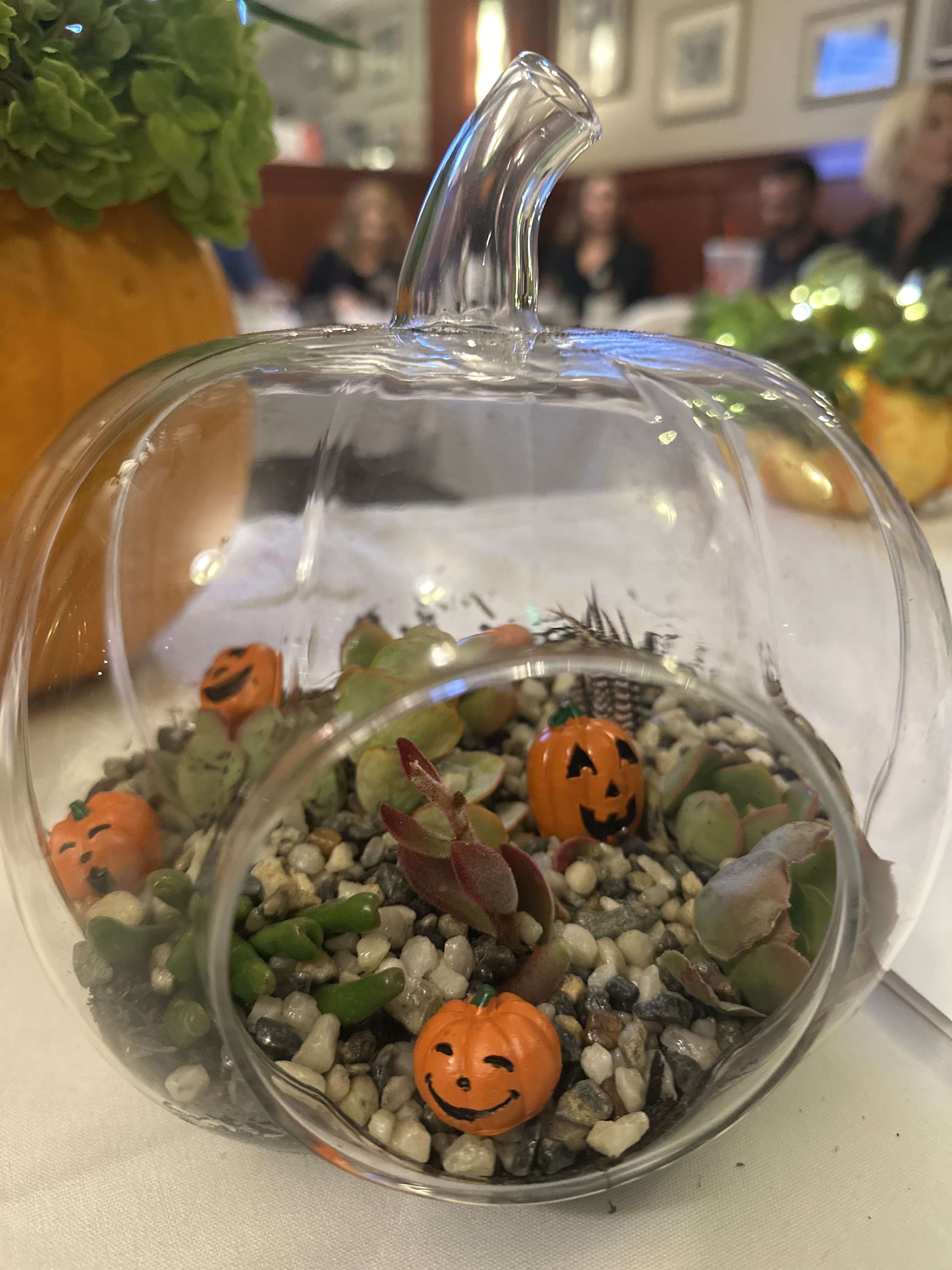 Halloween Succulents  - Halloween Succulents 