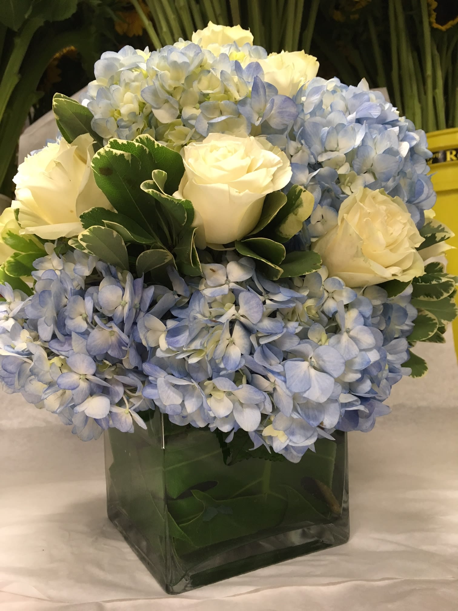Blue hydrangeas and white roses arranged in a square glass vase