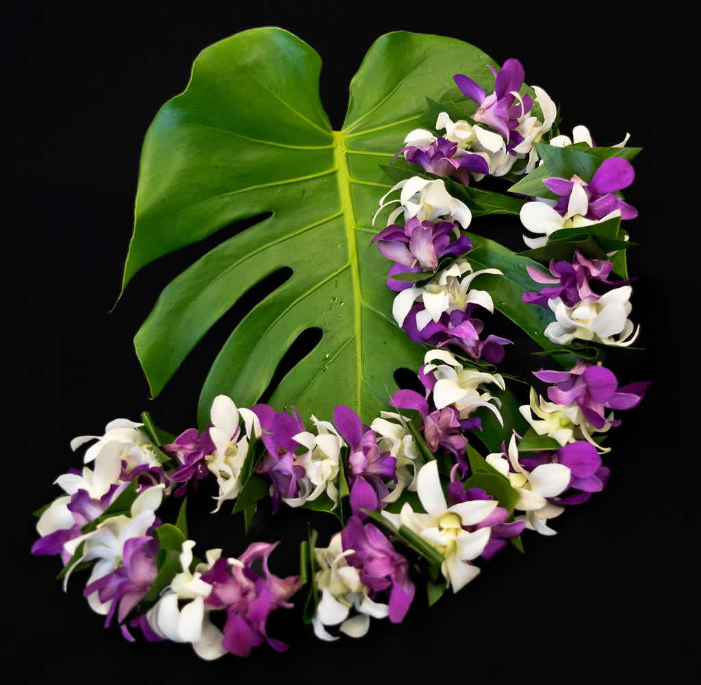 Lei 6 - This lei make with mix color dendrobium orchids 