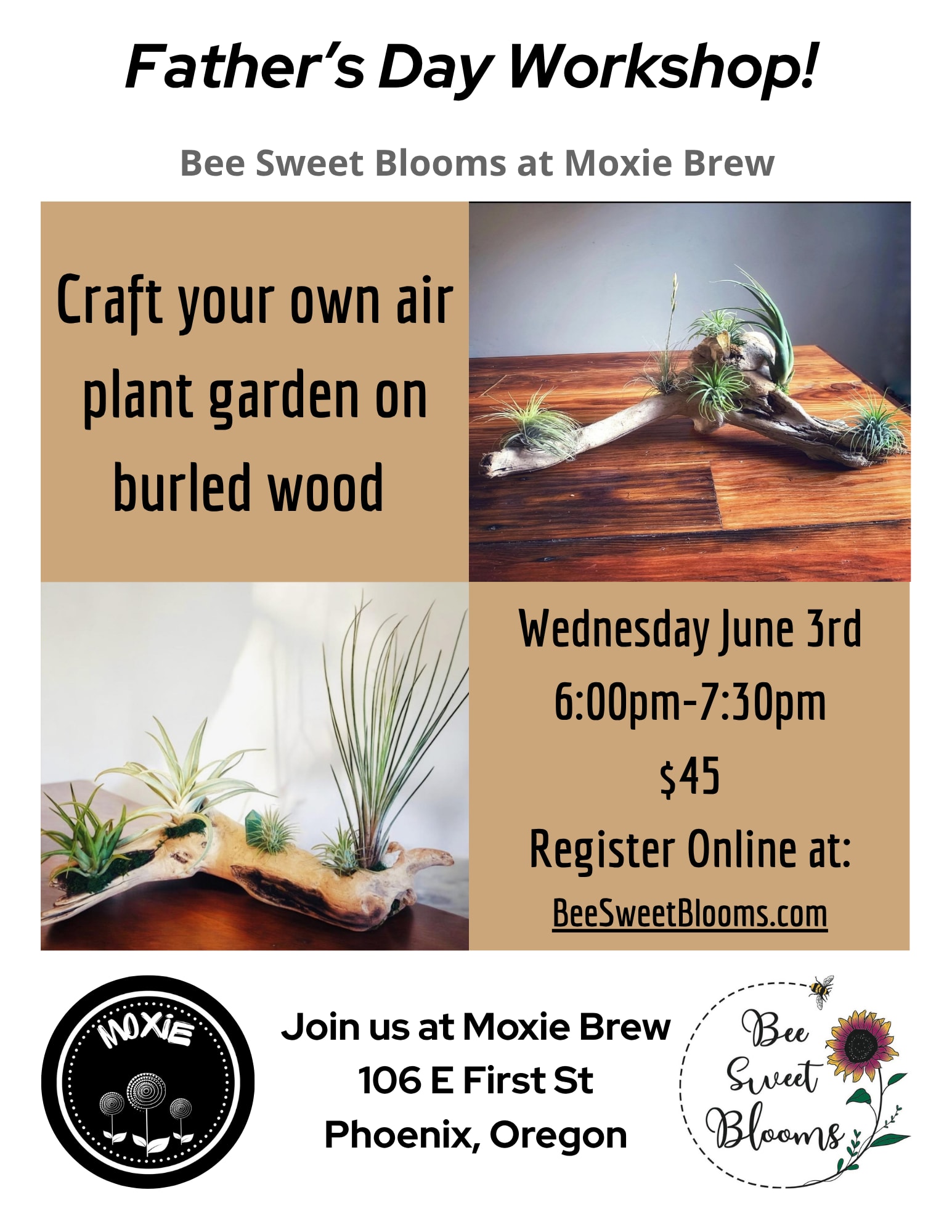 Air Plant Workshop - Craft your own air plant garden on burled wood at Moxie Brew.