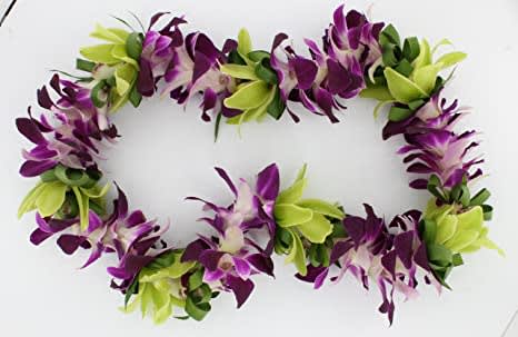 Lei 4 - This graduation lie made with Green cymbidium and dendrobium orchid  