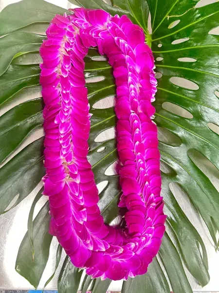 Pink flower lei on large green tropical leaves