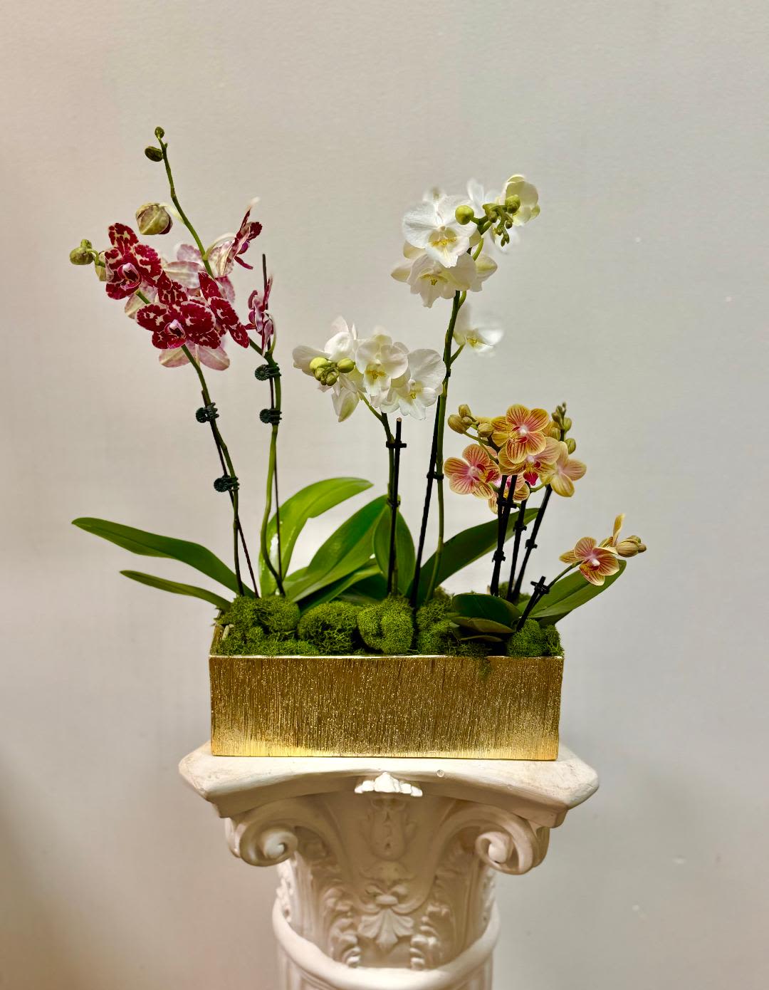 Fantasy Orchids - Theme Colors: Shades of Burgundy, Peachy, white and green  Featured Blooms: Moth Orchids &amp; greenery.  HK Flowers have a uniqueness of florals and seasonal blooms, certain flowers or colors may not be available as each season affects the availability, color, size, and shape of each floral bloom. Some flowers may be substituted accordingly.  Photos are used as a reference for the color palette and is NOT indicated of the final product. We ask for your trust in us that we will pick out the best seasonal available blooms, while still capturing the arrangements' theme and colors mentioned above.