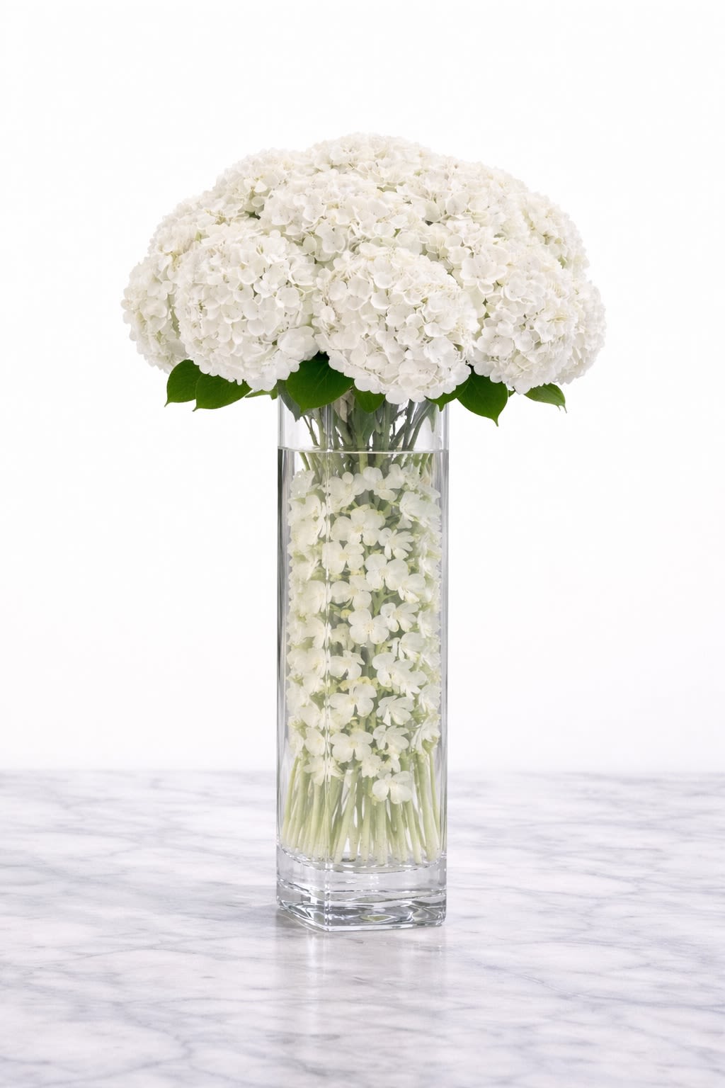 Lumiere Pure - A stunning expression of softness and modern luxury, Lumière Pure features a full dome of premium white hydrangeas arranged in a tall, sleek glass cylinder vase. Inside the vase, delicate white dendrobium orchids are submerged in water, creating a layered, floating effect that adds depth, elegance, and a luminous touch. The all-white palette gives this design a clean, airy feel—perfect for weddings, sympathy arrangements, or sophisticated home décor. Flower &amp; Container Disclaimer: White hydrangeas and white dendrobium orchids are used in this design; however, due to seasonal availability and market conditions, substitutions of equal or greater value may be made while maintaining the overall white color palette and luxurious style. Vase or container may vary depending on availability but will always reflect a similar tall, modern, and elegant aesthetic.