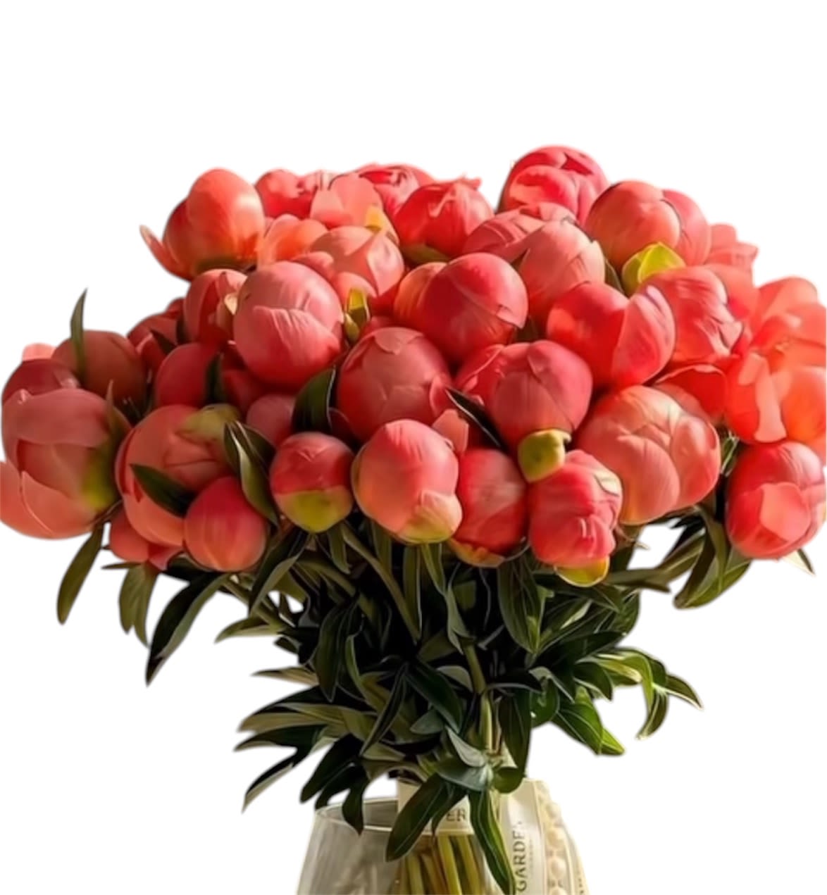 Blushing Coral Peony Bouquet - A lush, rounded cluster of coral-pink peonies makes a warm, romantic statement-perfect as a spring or summer birthday bouquet, anniversary surprise, or a heartfelt "just because" gift. This flower arrangement centers on tulips in blush-to-red shades with dark green foliage for contrast, delivering the same soft, intimate impression peonies and tulips often evoke for love and romance without being over-the-top. The clear glass vase and decorative ribbon give it a polished, gift-ready finish that reads thoughtful for thank-you gestures or Fourth of July gatherings alike.  Each stem is arranged tightly for a full, dense silhouette that feels both cheerful and elegant; the palette of pinks, corals, and reds catches light and draws the eye to the rounded bloom heads. Presented in a simple clear vase, the arrangement showcases clean lines and a modern profile while the ribbon adds a gentle, celebratory touch. Sized to sit easily on a table or desk, it's the kind of bouquet that makes the recipient feel genuinely seen-ideal for expressing affection, gratitude, or celebration throughout spring and summer.  For care, place in fresh water and trim stems a bit when you receive it to prolong bloom life; keep away from direct heat for best results. Ready to send as a romantic surprise, thank-you gift, birthday centerpiece, or anniversary bloom, this arrangement arrives styled and ribbon-tied for immediate gifting.