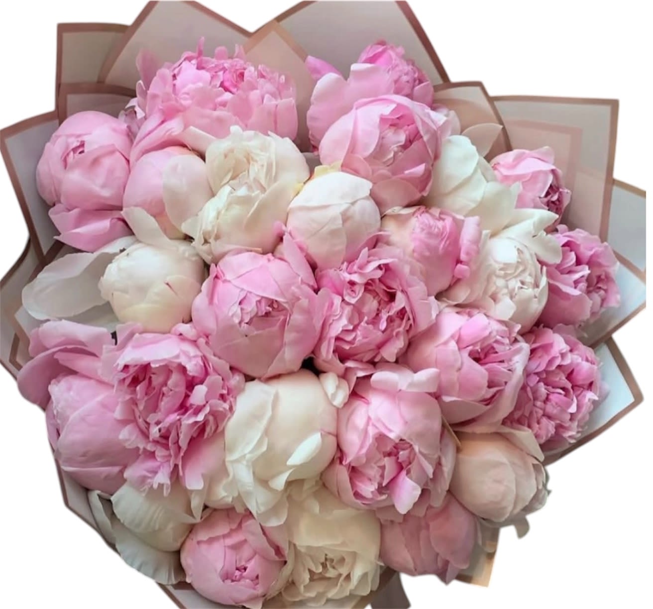Peony Elegance  - A lush, cloudlike cluster of pink, white, and peach peonies creates an instantly romantic birthday bouquet that also reads beautifully for an anniversary, wedding, or "just because" surprise. The densely layered petals and soft pastel palette give the recipient a feeling of being truly celebrated-delicate, feminine, and impossibly tactile the moment they open the package.  Hand-tied and finished in a translucent tan-and-blush decorative paper wrap, the arrangement is full and rounded with blooms packed closely for maximum visual impact and a polished presentation. Peonies are showcased at varying stages of opening so the display keeps unfolding over several days; it's a tender choice for saying "get well," "I'm sorry," or "thinking of you" when you want someone to feel deeply seen.