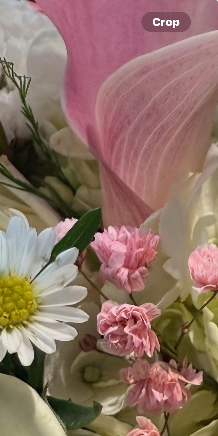 Mothers Day Mixed Up - Mother s Day mixture of  flowers specially made by our team of designers to create a smile on mom s face this year!