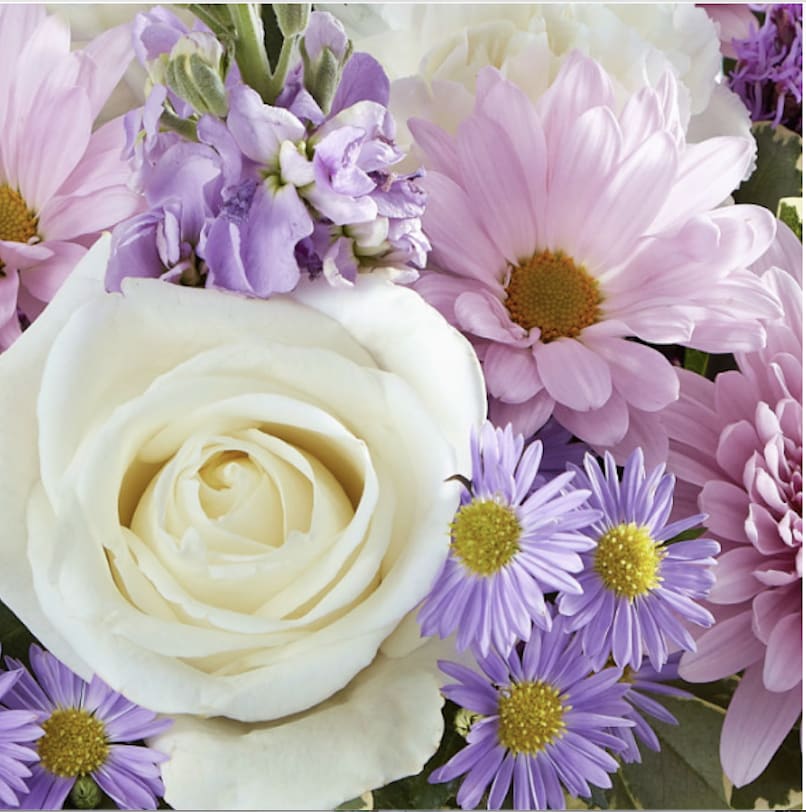 Close-up bouquet of white roses, pink daisies, and purple flowers