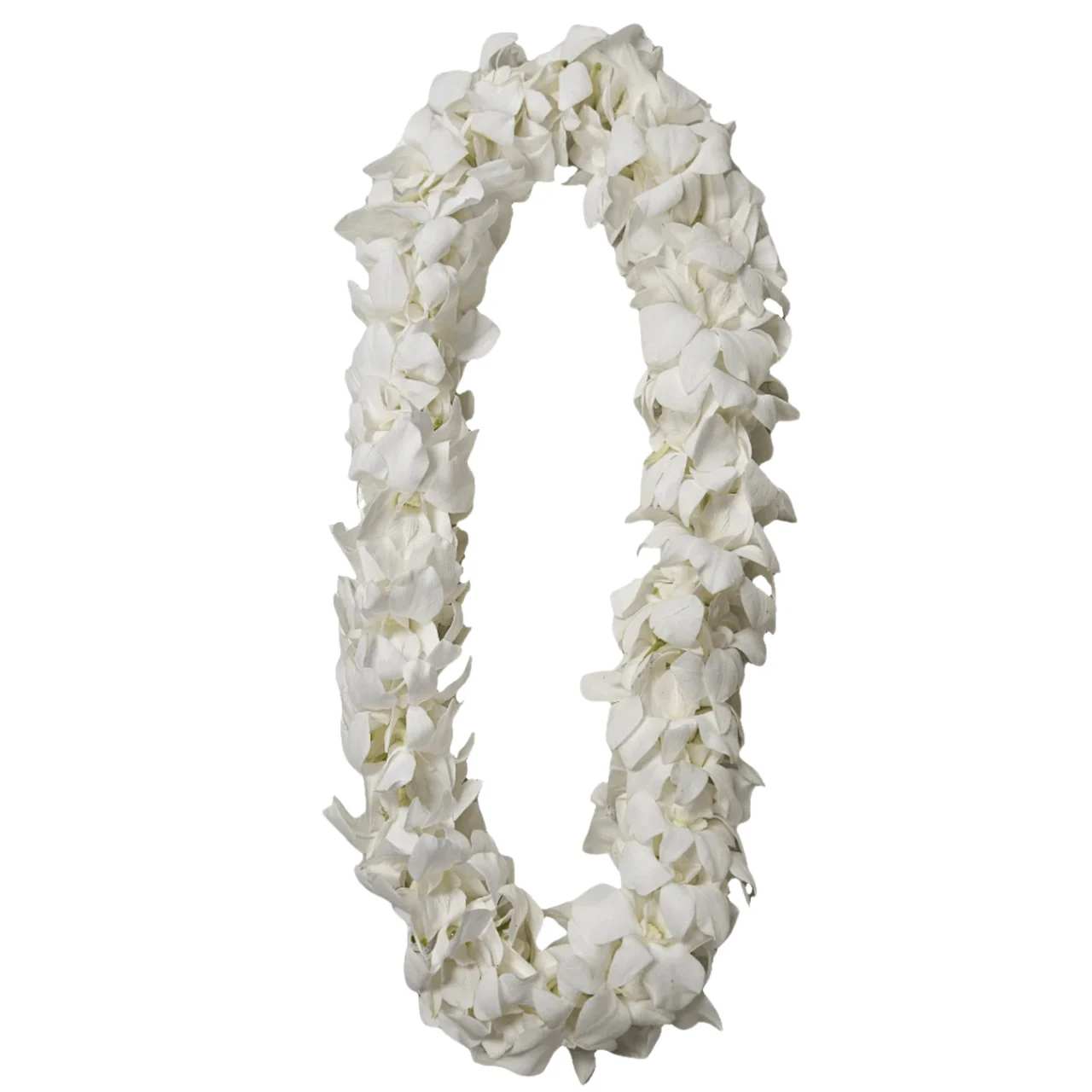 Orchid Lei Double White  - Orchid Lei Double White 