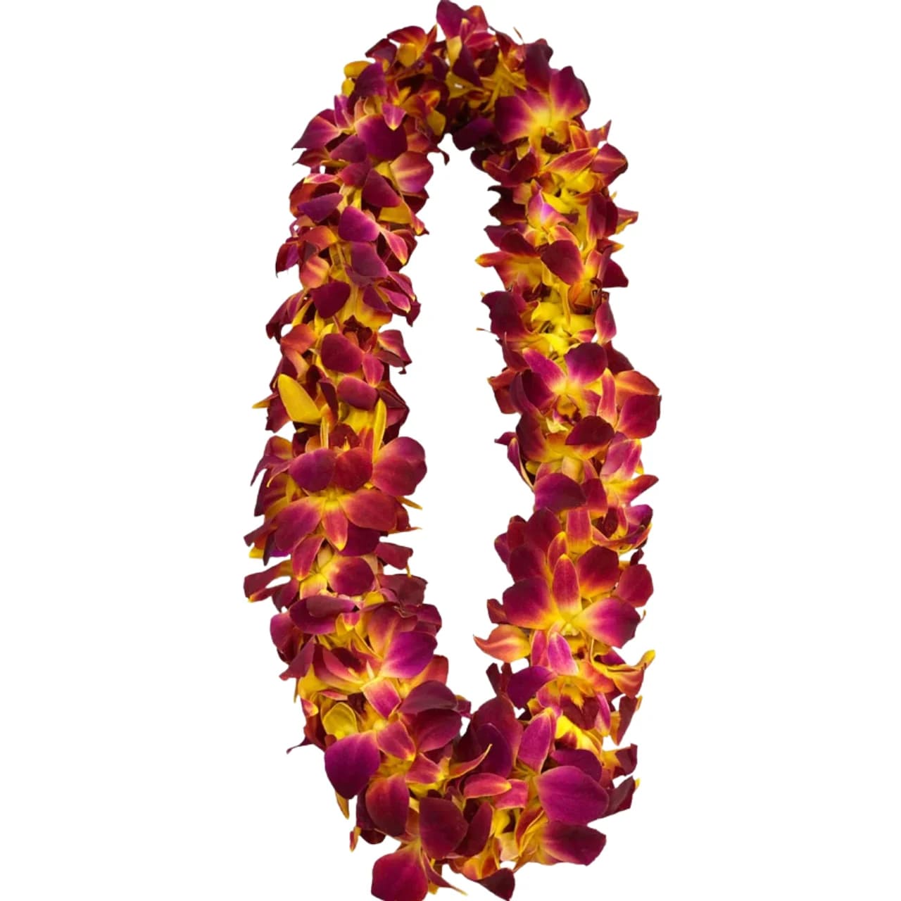Orchid Lei Double Maroon and Gold  - Orchid Lei Double Maroon and Gold 
