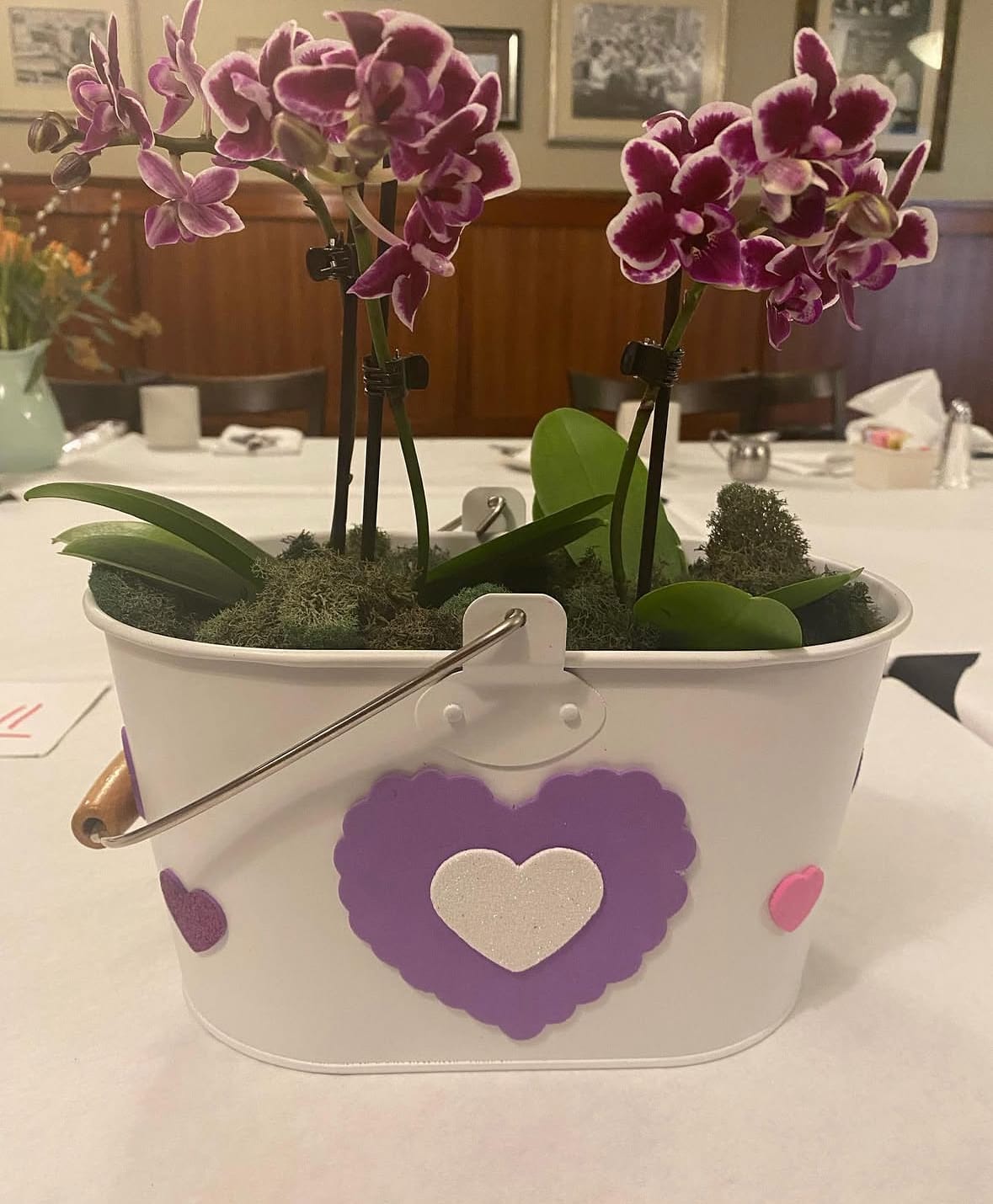 Get Well Orchids - Get Well Orchids
