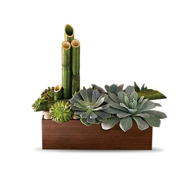 Succulent arrangement in a wooden box with bamboo stalks