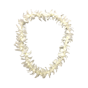 Orchid Lei Single White  - Orchid Lei Single White 
