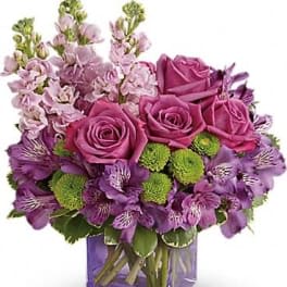Sweet Sachet Bouquet - Sweet as can be! Hand-delivered in a chic lavender cube, this marvelous mix of jewel toned blooms is a touching way to celebrate someone special on their birthday or any day. Lavender roses, purple alstroemeria, light pink stock and green button spray chrysanthemums are accented with variegated pittosporum. Delivered in a lavender cube vase. 