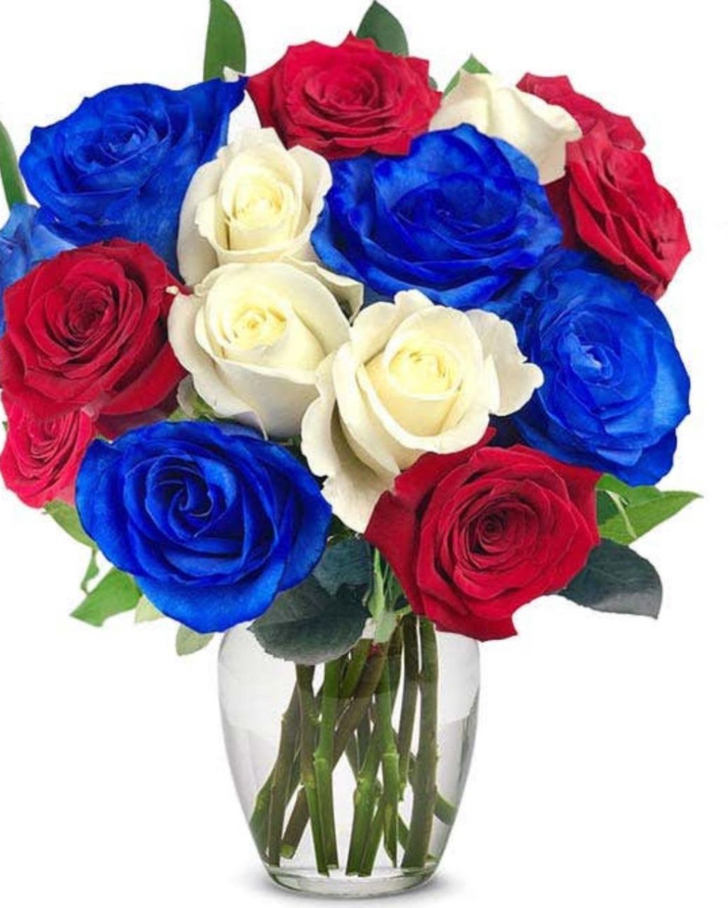 Red blue and white - Medium size teddy