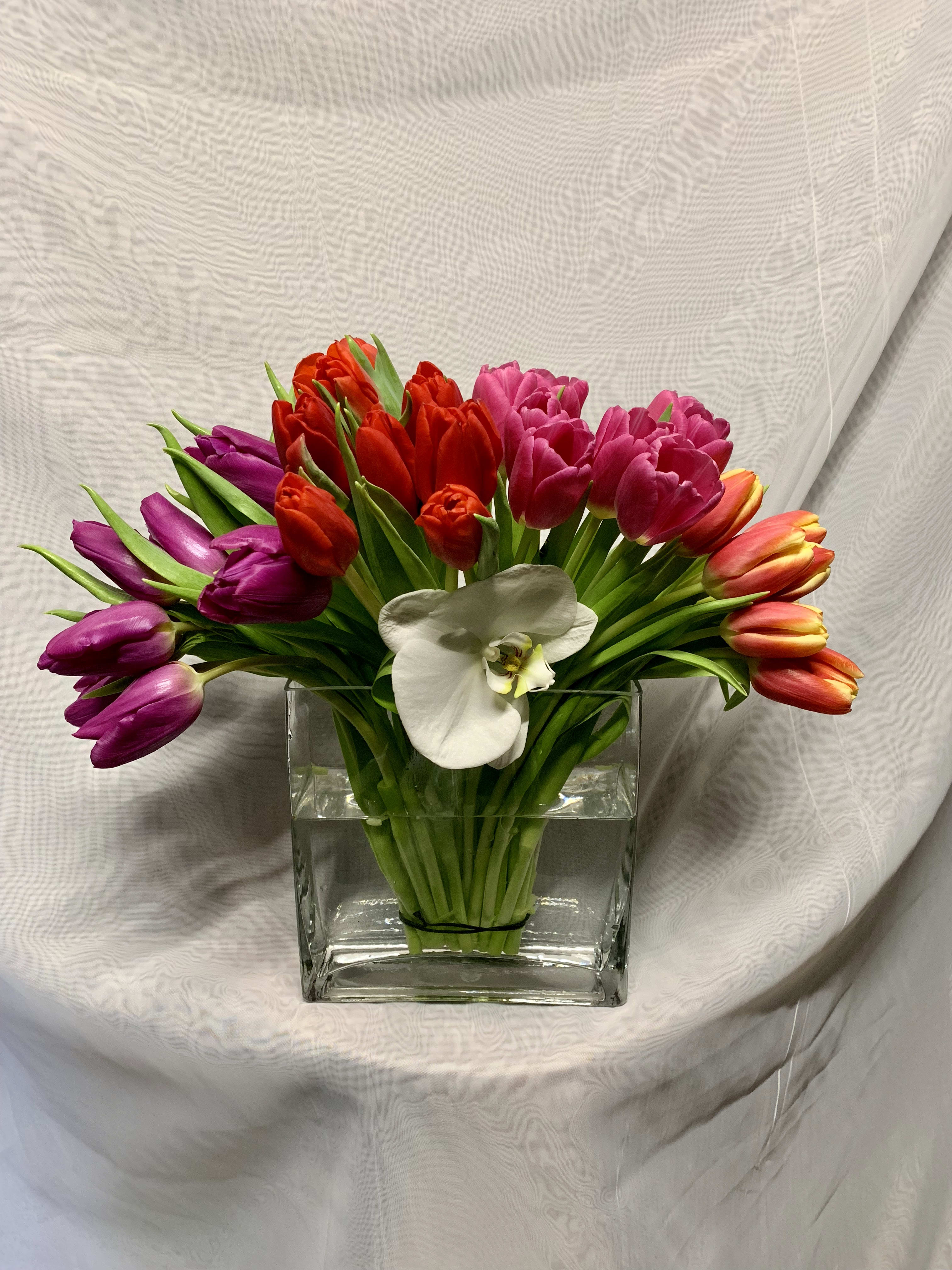 Low arrangement of red, pink, purple, and orange tulips with a white orchid in a clear square glass vase.