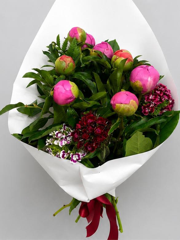 Blushing Peony Elegance - Brighten someone's day with the ultimate seasonal luxury: fresh peonies! This gorgeous, hand-tied bouquet features vibrant pink peony buds ready to burst into full, fluffy blooms, beautifully complemented by rich Sweet William accents and lush greens. Wrapped in minimalist white paper with a satin ribbon, it's a chic, ready-to-gift bouquet that brings instant elegance to any space.
