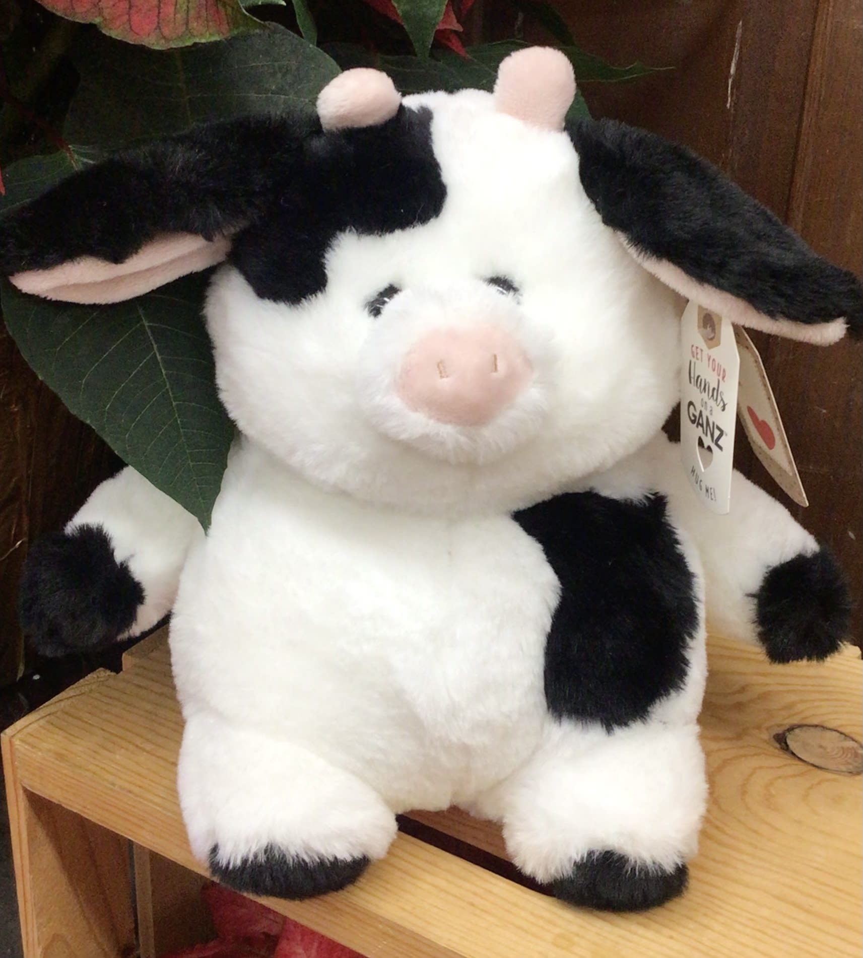 Plush black-and-white cow toy sitting on a wooden shelf