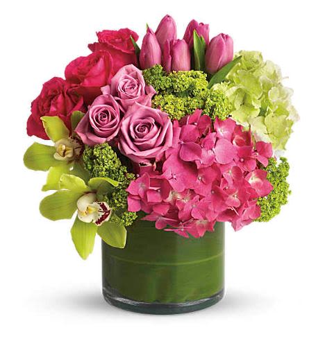 New Sensations Flower -  Pet Friendly? NO . This design contains tulips, which are toxic to cats and dogs if ingested. Keep out of reach and avoid homes with curious household pets.   Human Allergy Note : No major allergy-triggering flowers noted. Orchids and roses are typically low-pollen and suitable for most recipients.   Care &amp; Longevity : Trim 1″ from stems at an angle and place in fresh, cool water with flower food. Change water every 2 days, keep out of direct sun, heat, and vents, and remove any fading blooms to keep the rest fresh. Since it’s in a vase, ensure water covers all stem ends.   Best Occasions &amp; Situations :  - Birthday  - Anniversary  - Congratulations  - Get well  - New baby  - Just because  - Romance  - Promotion   Why Customers Love It : - Color balance of pinks and greens feels fresh and elevated - Low, full shape works perfectly as a gift-ready centerpiece - Versatile for celebrations or everyday decor - Dense bloom coverage gives a premium, luxurious look - Mix of textures from orchids, tulips, and hydrangea keeps it interesting