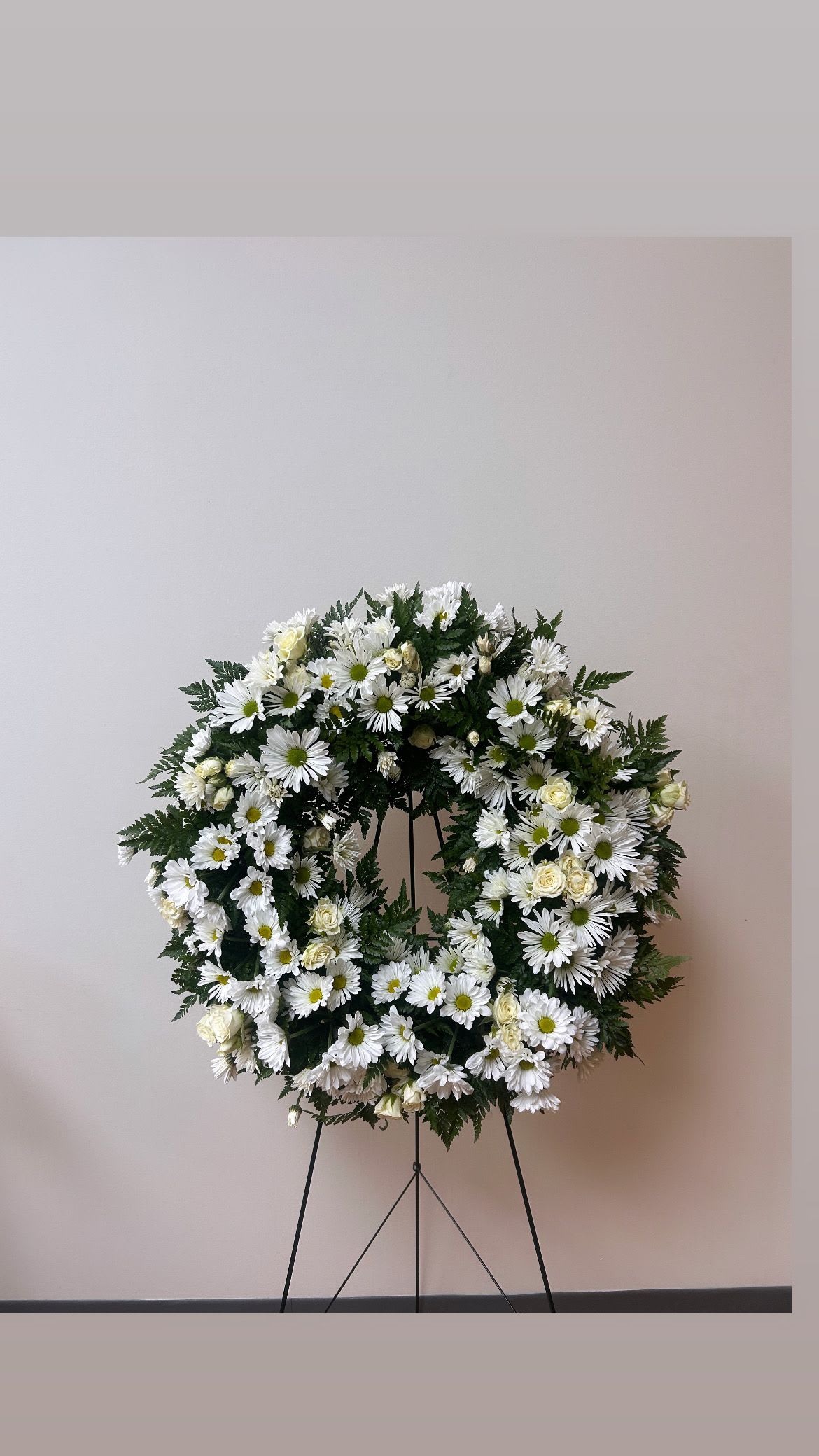Daisy Bloom Garden - Medium size