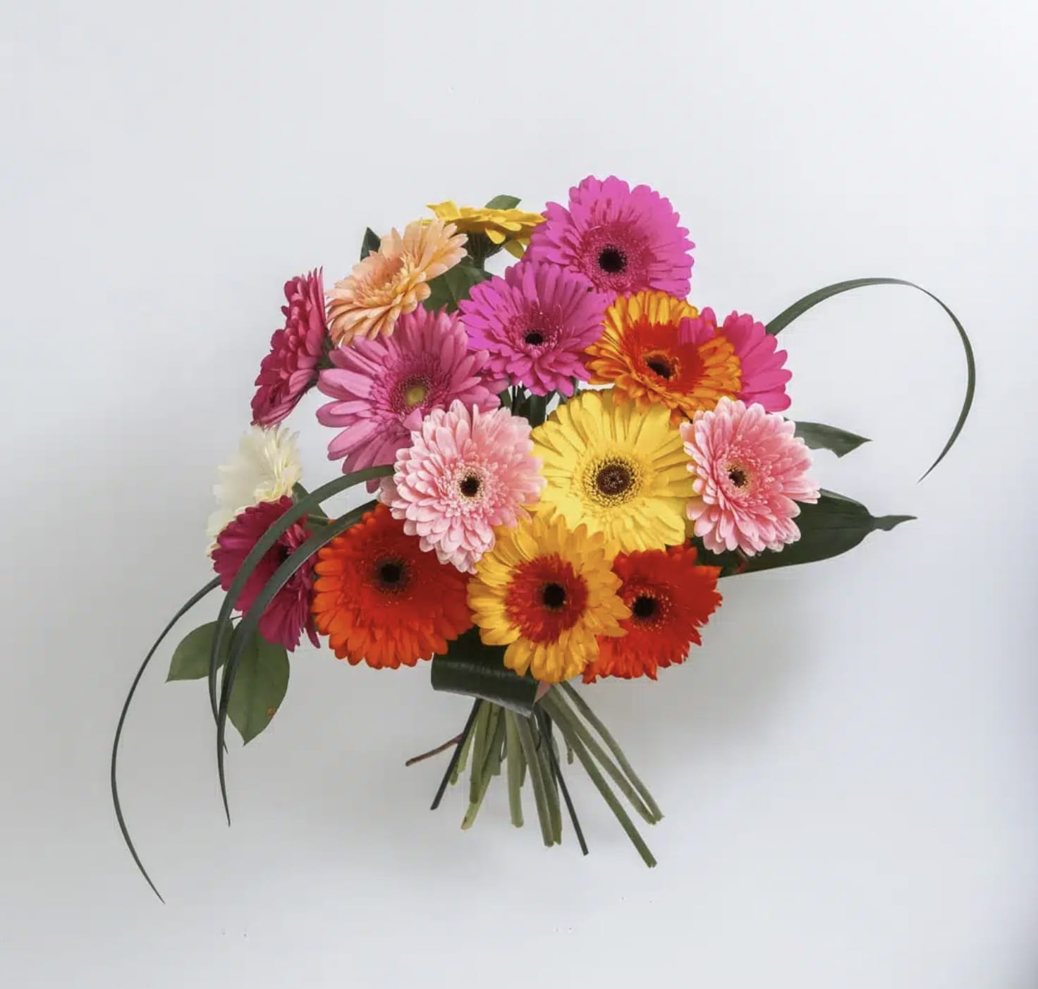 Bouquet of colorful gerbera daisies with long leaves