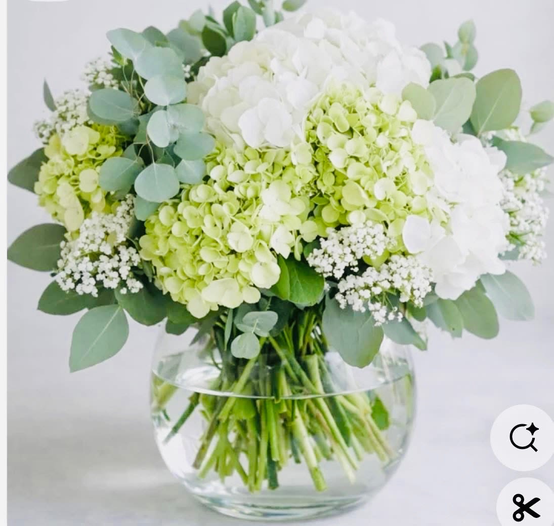 Heavenly Hydrangeas - Heavenly Hydrangea is a full, elegant arrangement of lush hydrangeas in a clear glass bowl.This serene design is perfect for adding a fresh touch to any space or sending as a thoughtful flower delivery. Flowers and container may vary slightly based on availability, but the overall look will be beautifully maintained.