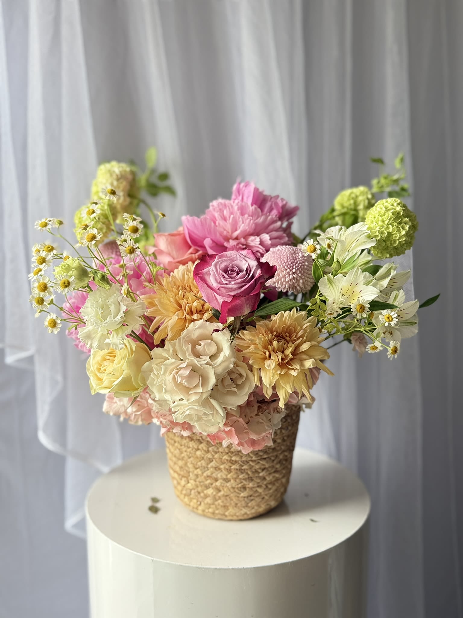 Daydreaming bliss - A joyful basket arrangement overflowing with soft pastel blooms and playful garden textures. Featuring romantic roses, fluffy chrysanthemums, delicate chamomile daisies, hydrangea, alstroemeria, green viburnum, and seasonal accent flowers, this design brings together a whimsical cottage-garden feel with elegant charm.