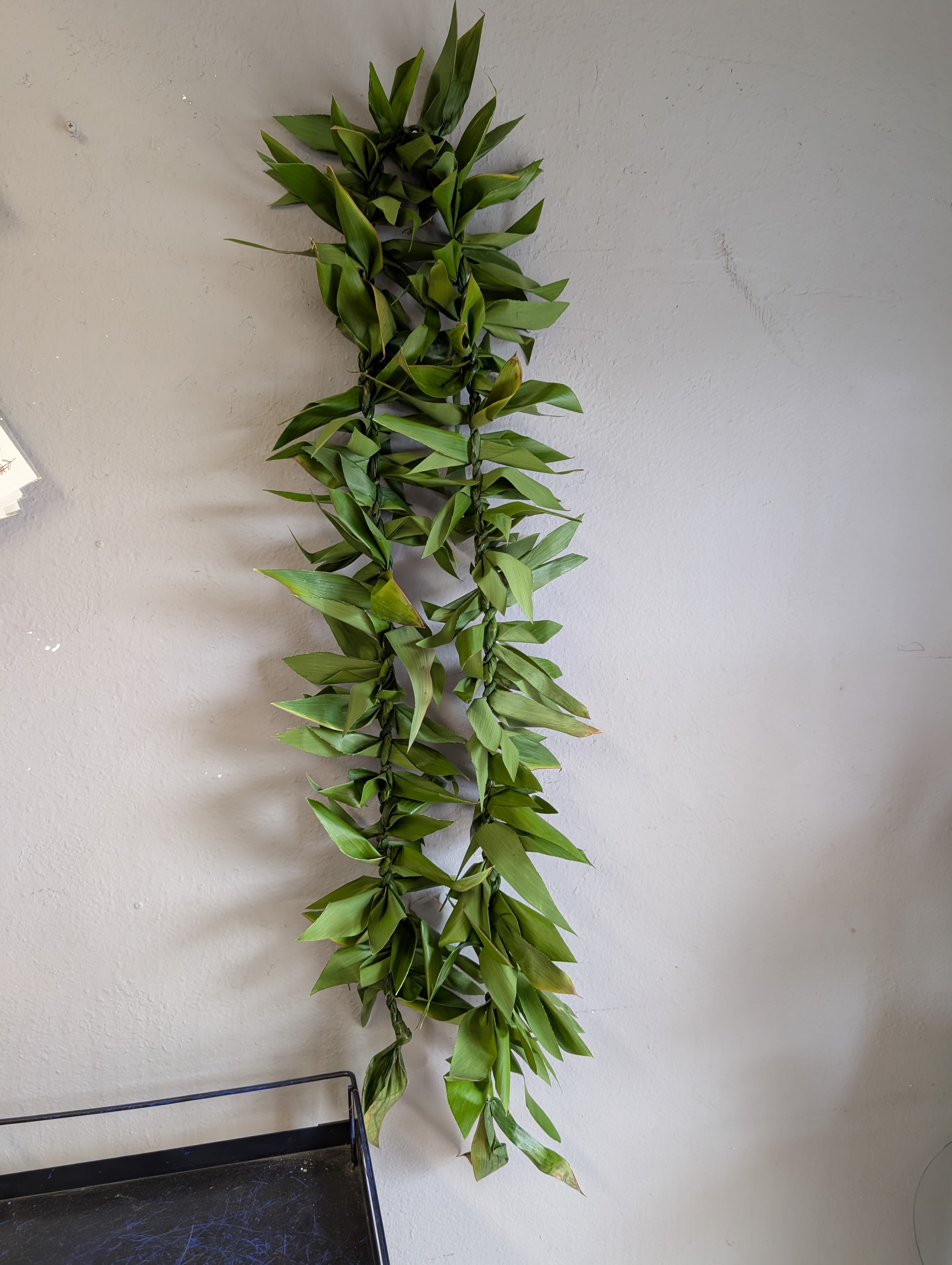 Ti leaf lei's by Kealoha lei's.  - A striking vertical garland for ceremonial moments, this Ti leaf lei blends lush green foliage is perfect for graduations.   For best longevity, keep out of direct sun and mist the foliage lightly. 