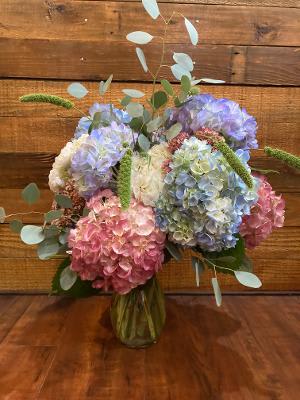 Pastel Hydrangeas  - Mixture of Pastel Colors of Hydrangeas