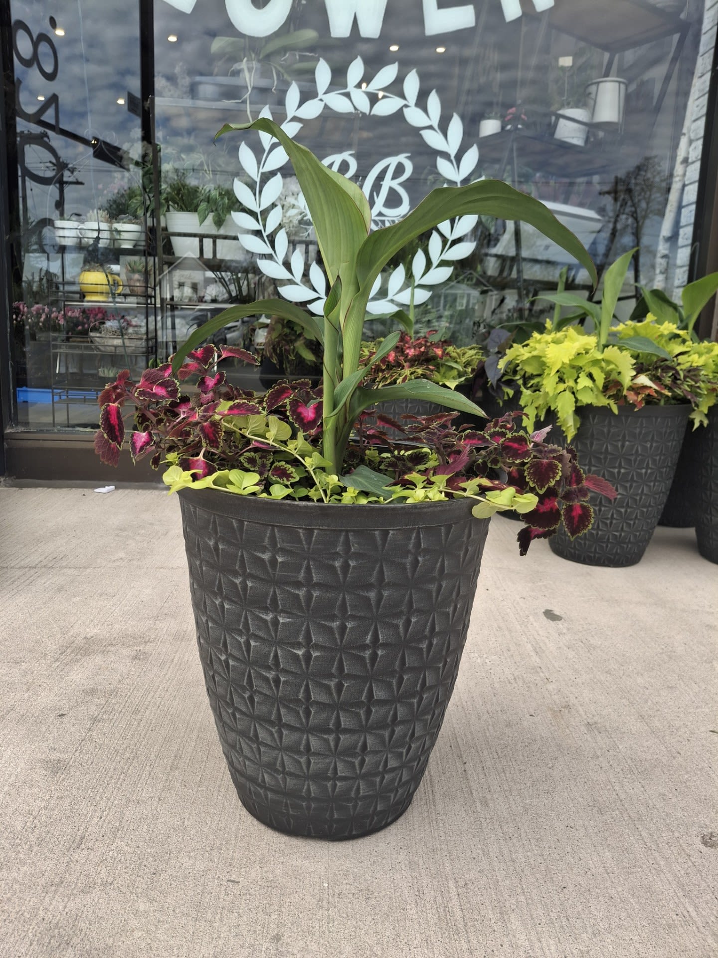Tall potted plant arrangement with colorful foliage in a black planter