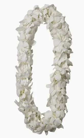 Graduation Lei  - Double orchid graduation lei's come in purple and white.