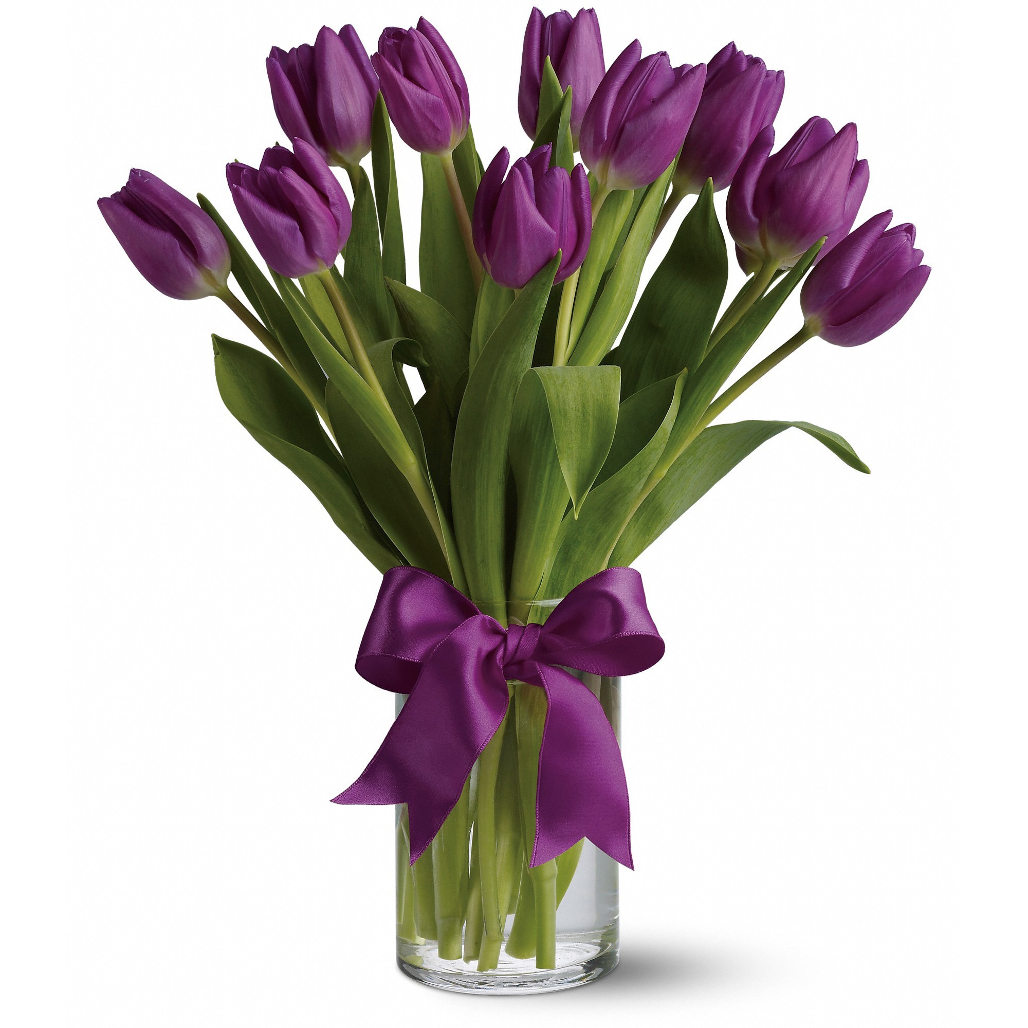 Passionate Purple Tulips - For anyone who's passionate about purple, this majestic arrangement of the prettiest purple tulips is, wellâ¦perfect    Spring's loveliest and most vibrant purple tulips are delivered in a special vase that's wrapped up with a purple satin ribbon.    Approximately 12 1/2" W x 14 3/4" H    Orientation: All-Around    As Shown : T148-2A  Deluxe : T148-2B  Premium : T148-2C