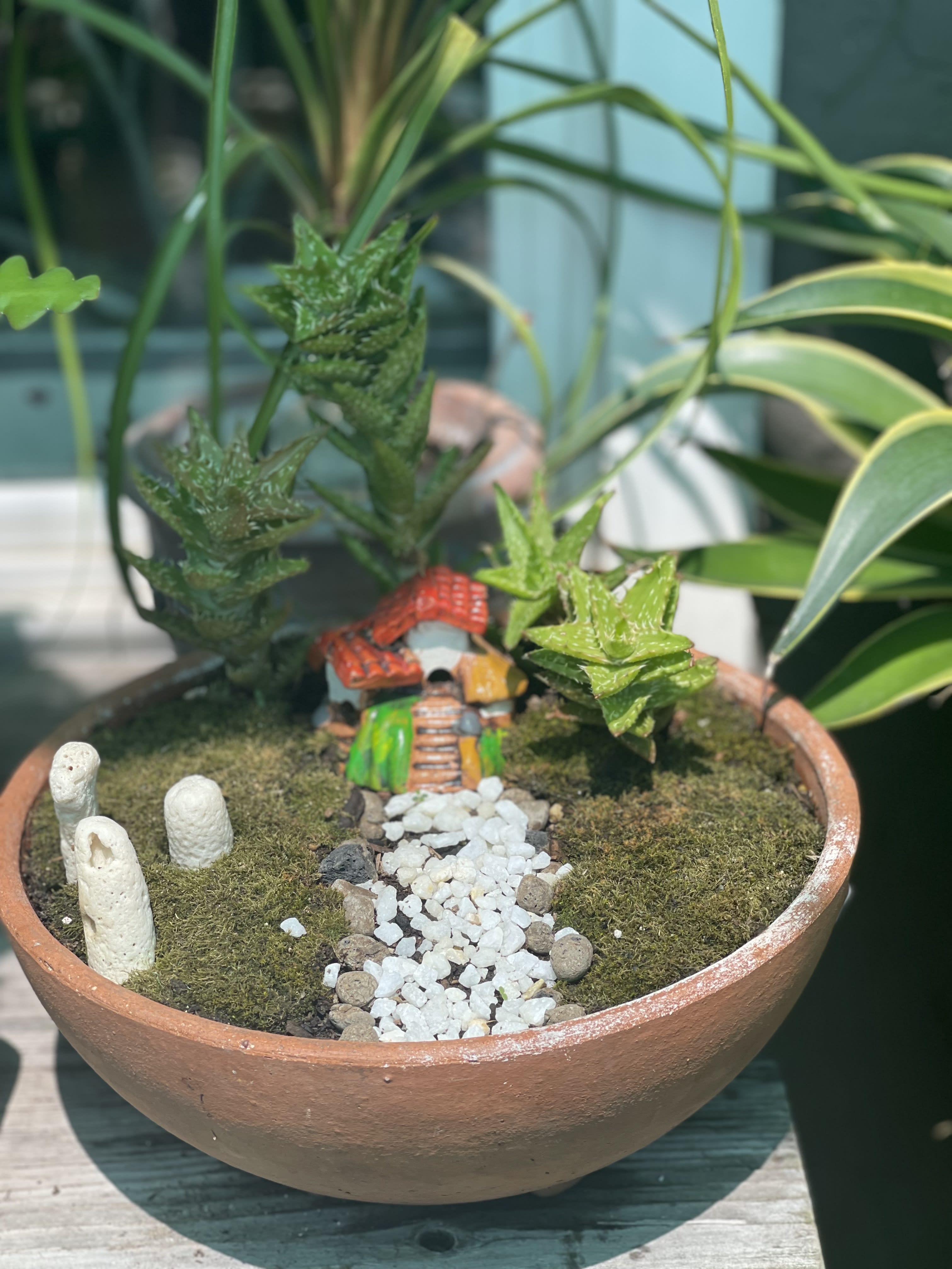 Miniature potted garden with a tiny house and pebble path