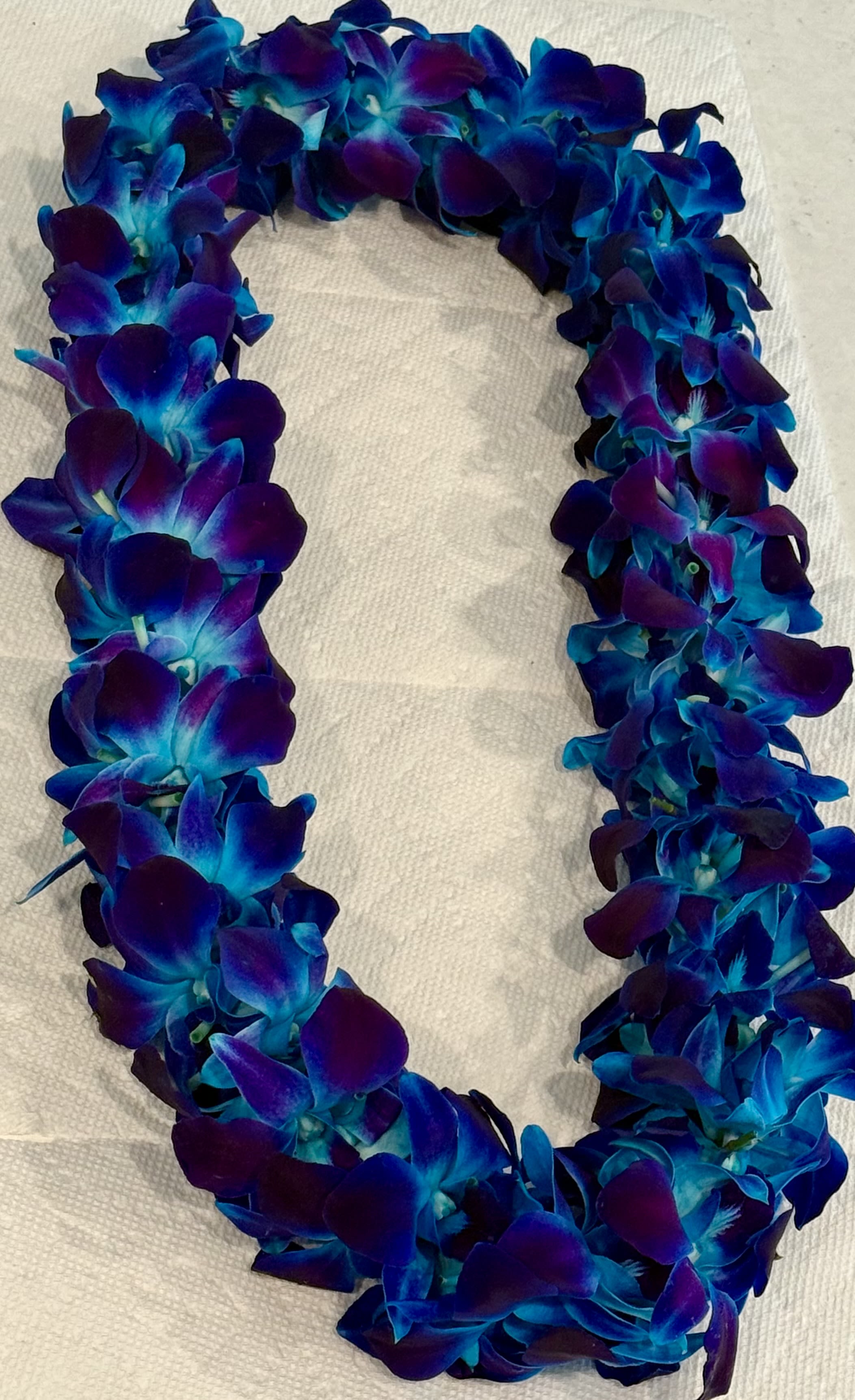 Blue Orchid Lei - Blue orchid lei 