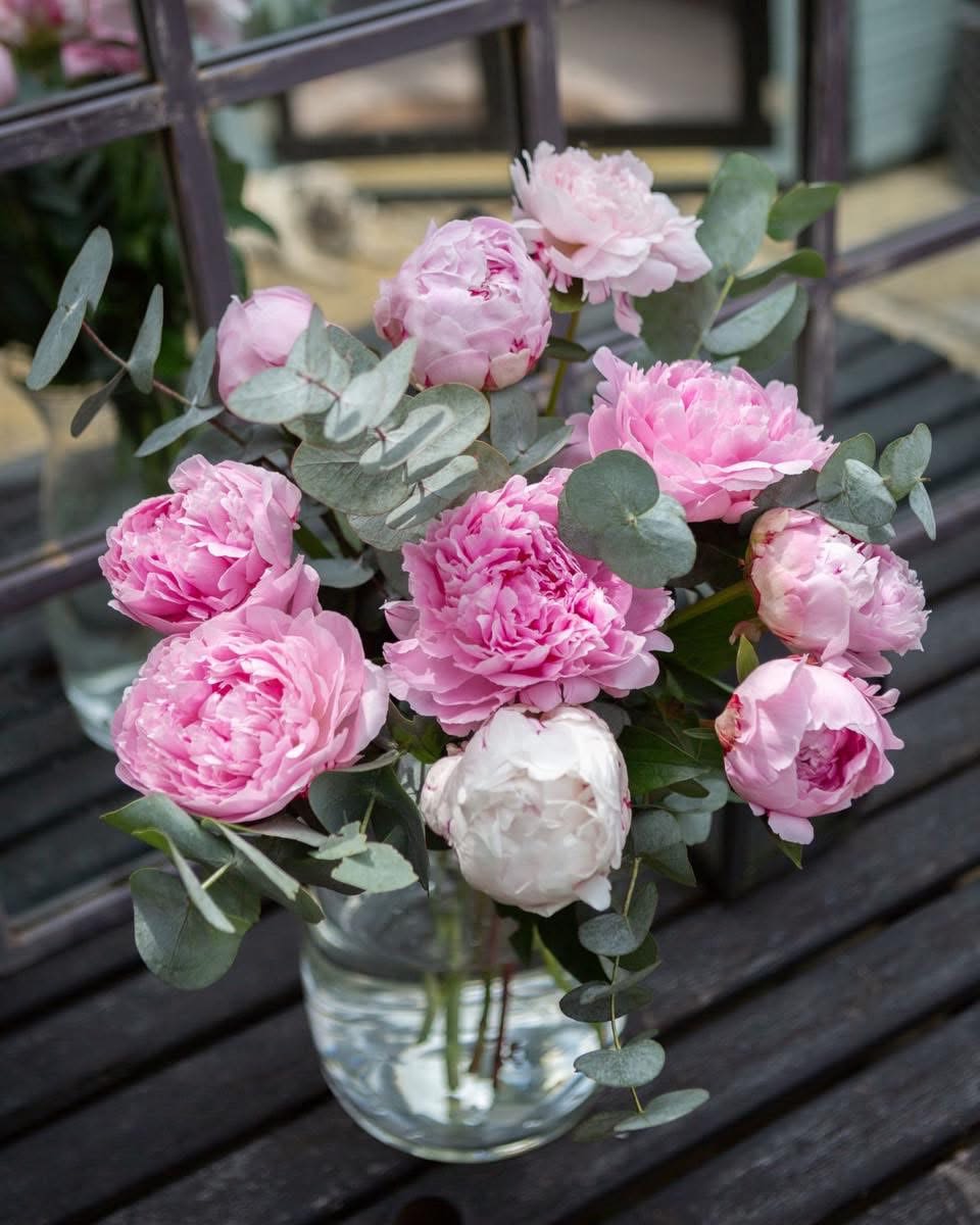 Peony Charm - 10 standard 15 Deluxe 20 Premium 