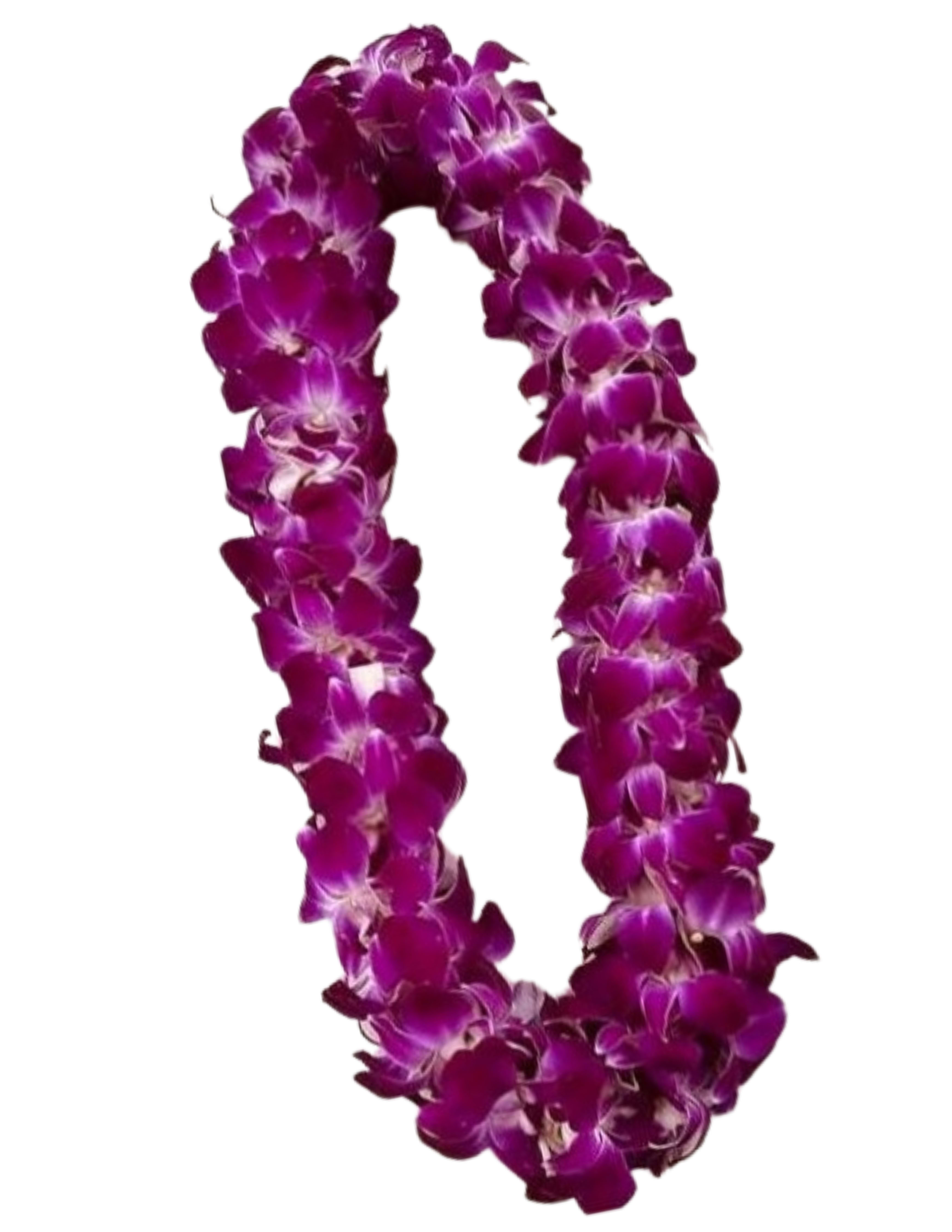 Purple orchid lei on a white background