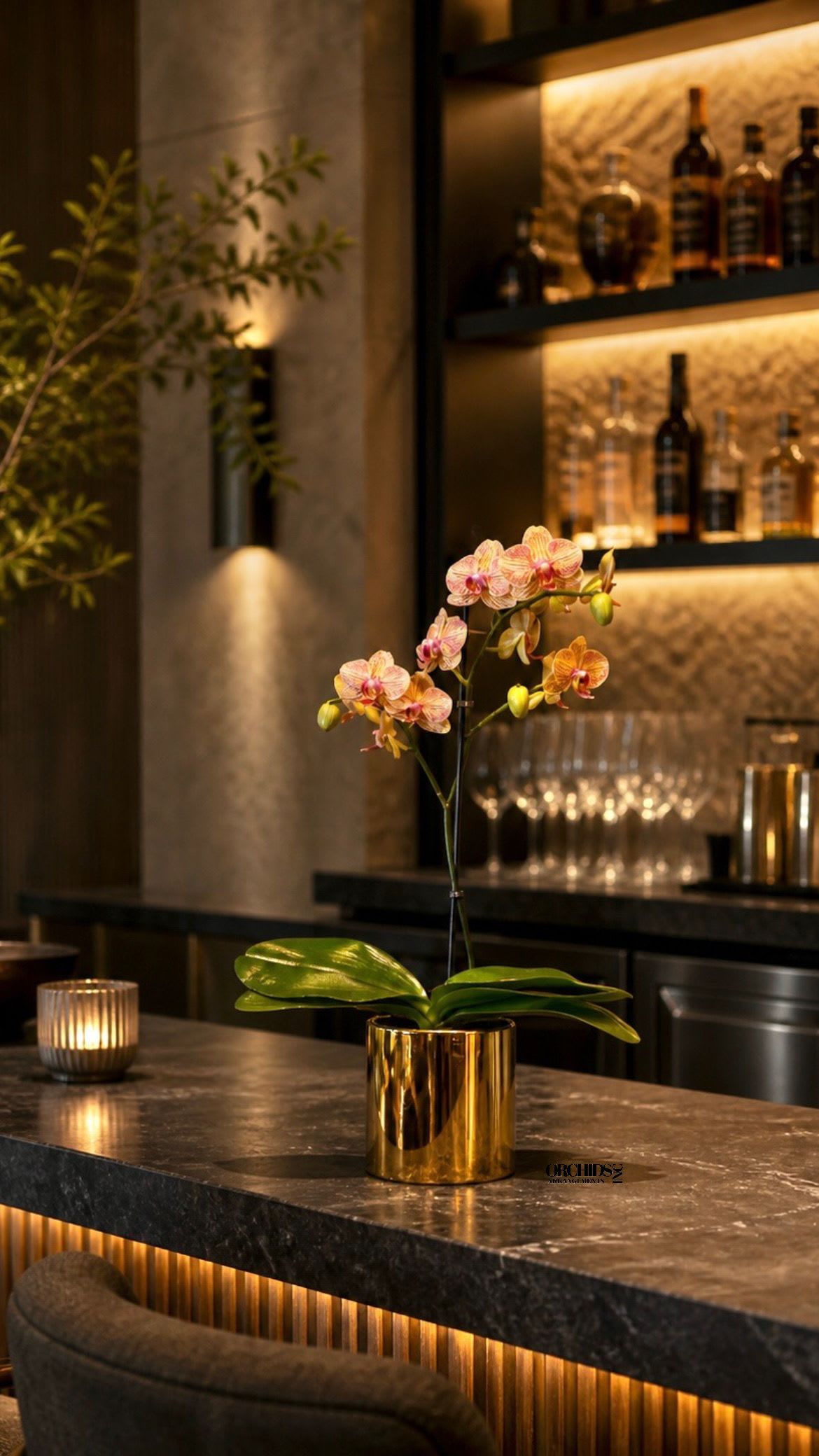 Peach Phalaenopsis Orchid – Flower Delivery Miami - A luxury Single Peach Phalaenopsis orchid designed for gifting. We offer flower delivery, same day flower delivery, orchid delivery, and same day orchid delivery in Miami. Buy orchids online with and fast delivery across Miami.