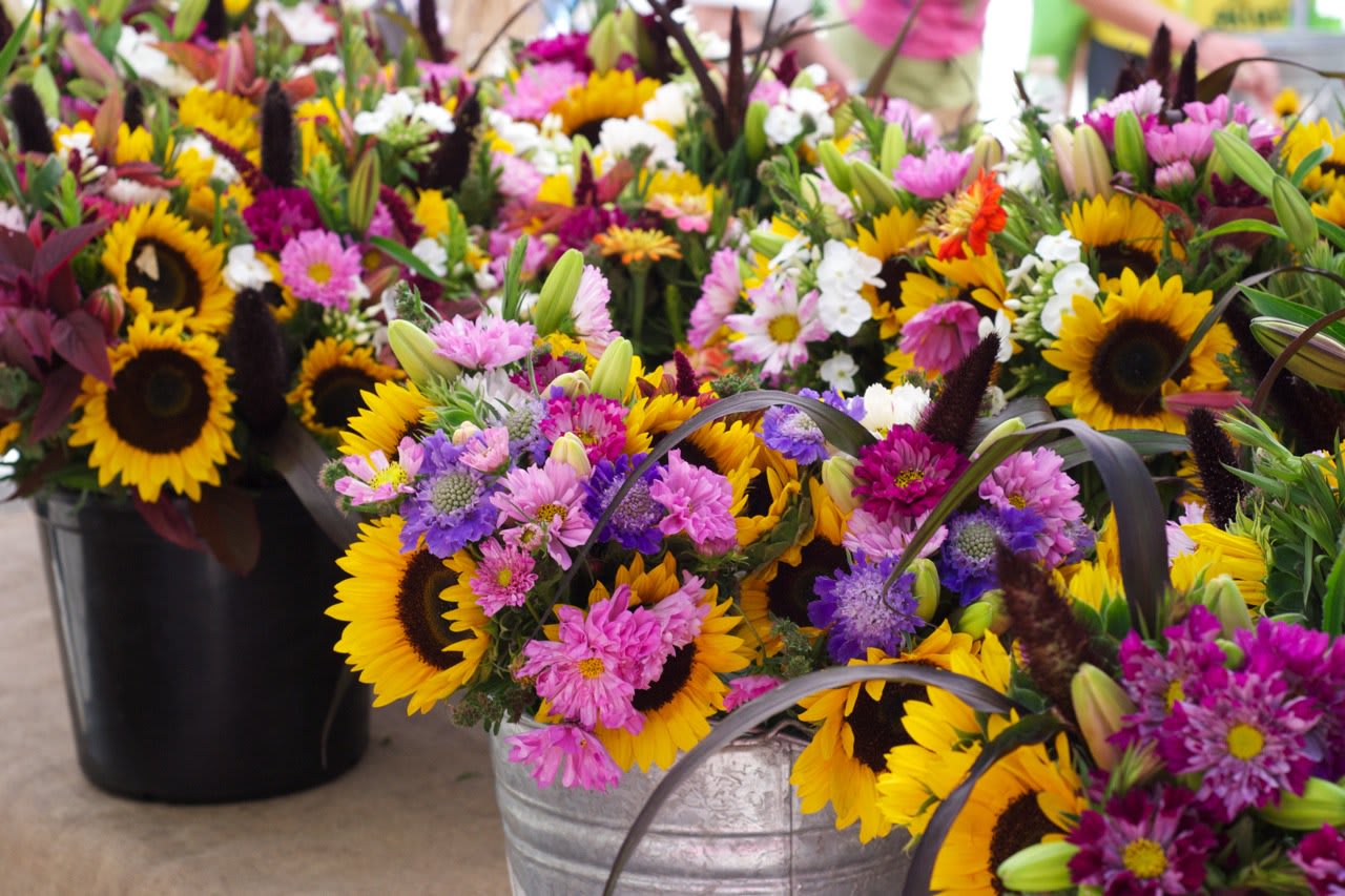 Buckets of mixed bouquets with sunflowers and pink-purple flowers