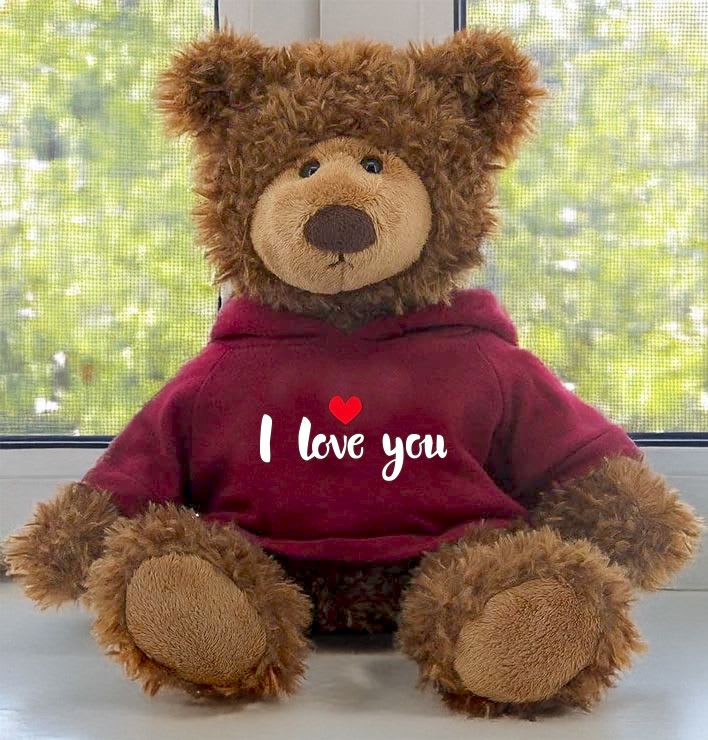 Brown teddy bear wearing a maroon hoodie with "I love you" text
