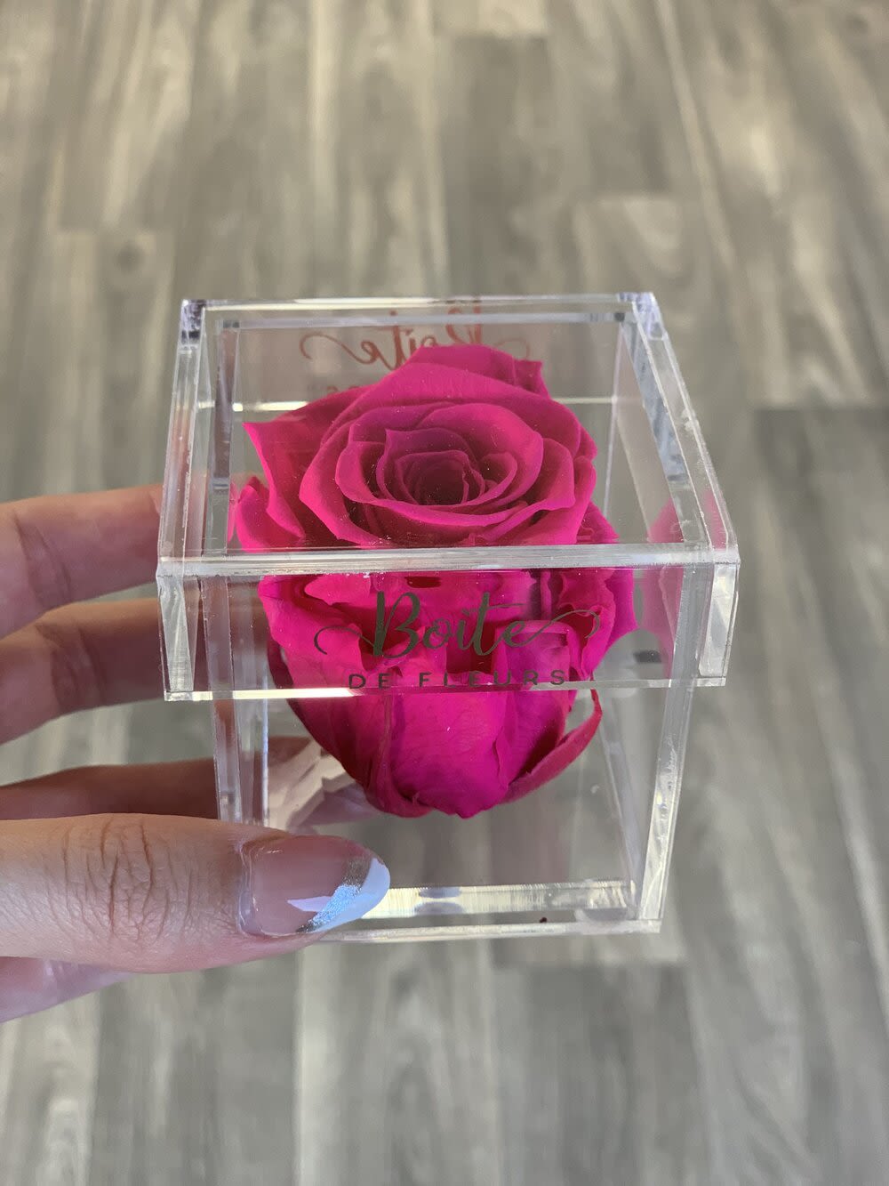 Bright pink rose in a clear acrylic box