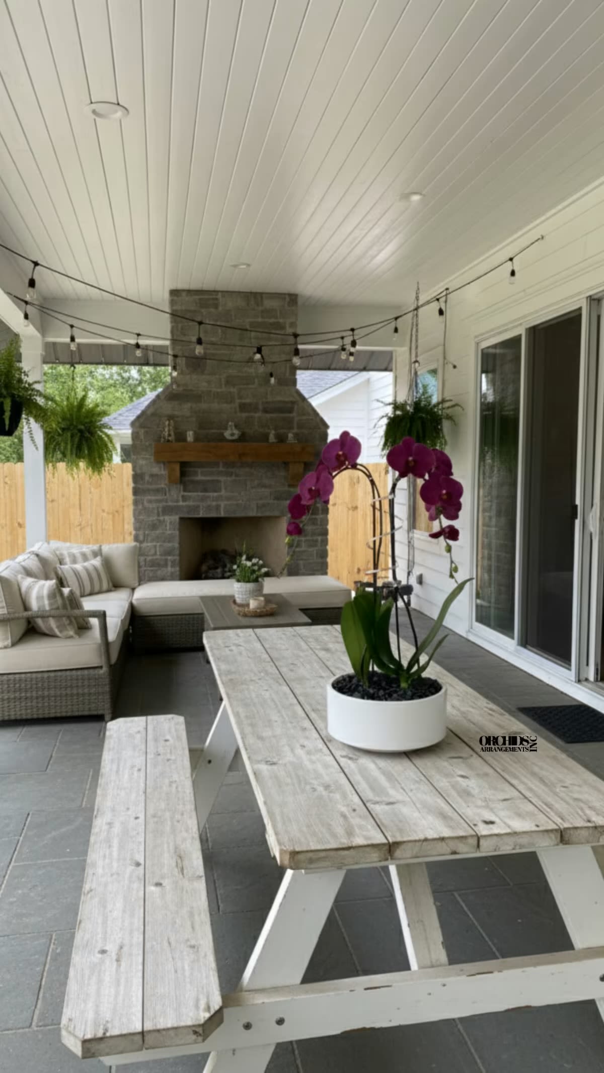 Purple Phalaenopsis Orchid – Delivery Orchids Miami - A luxury Double Purple Phalaenopsis orchid designed for gifting. We offer flower delivery, same day flower delivery, orchid delivery, and same day orchid delivery in Miami. Buy orchids online with and fast delivery across Miami.