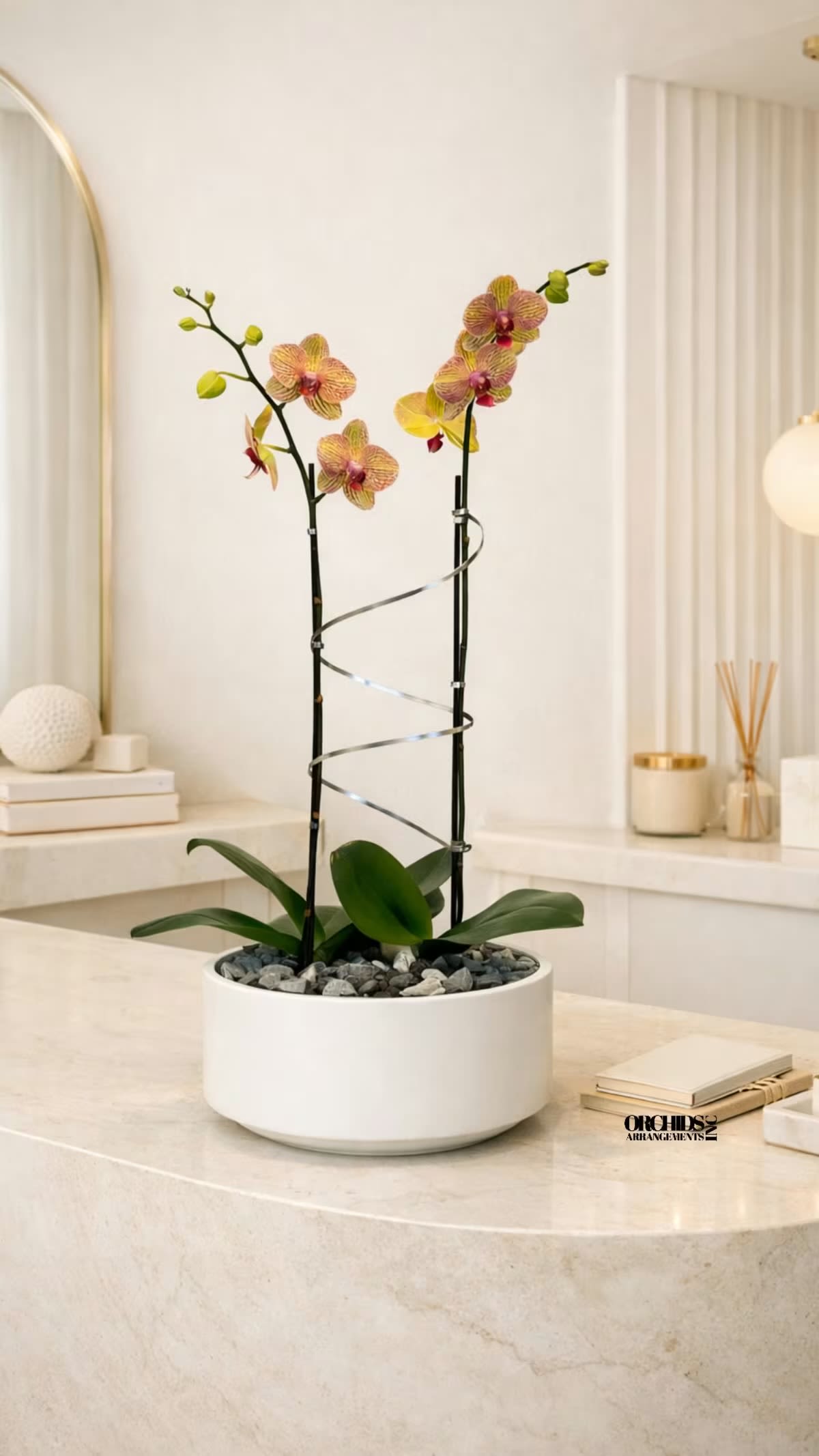 Peach Phalaenopsis Orchid – Delivery Orchids Miami - A luxury Double Peach Phalaenopsis orchid designed for gifting. We offer flower delivery, same day flower delivery, orchid delivery, and same day orchid delivery in Miami. Buy orchids online with and fast delivery across Miami. 