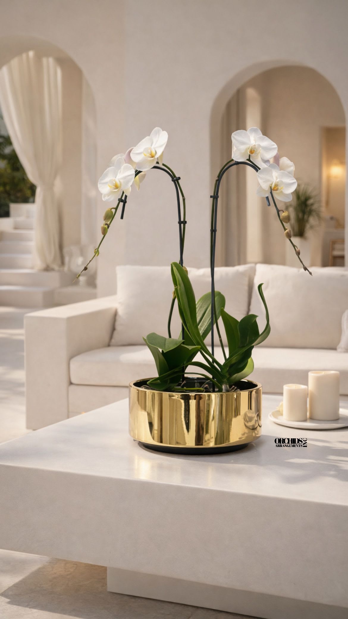 White orchids in a gold planter on a coffee table