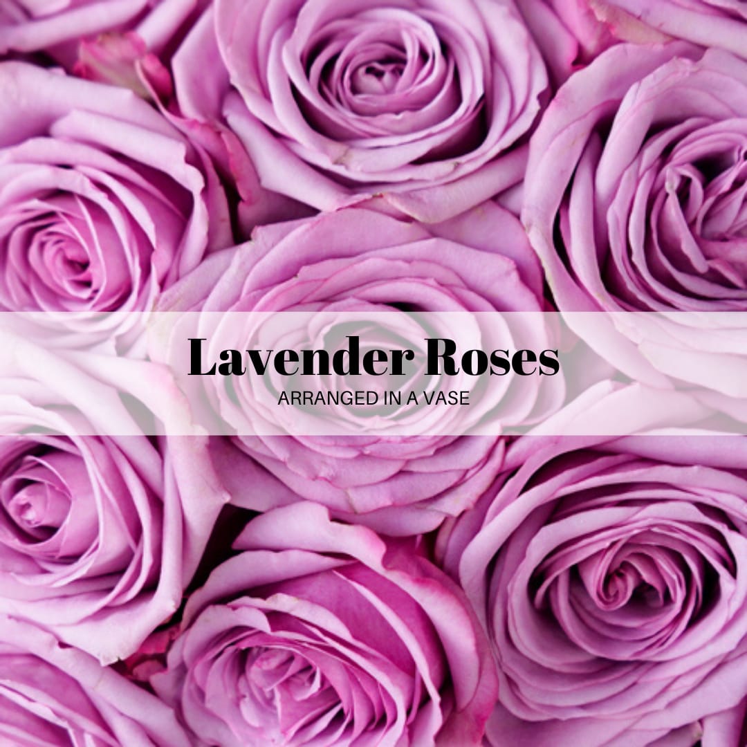 Close-up of lavender roses with text overlay