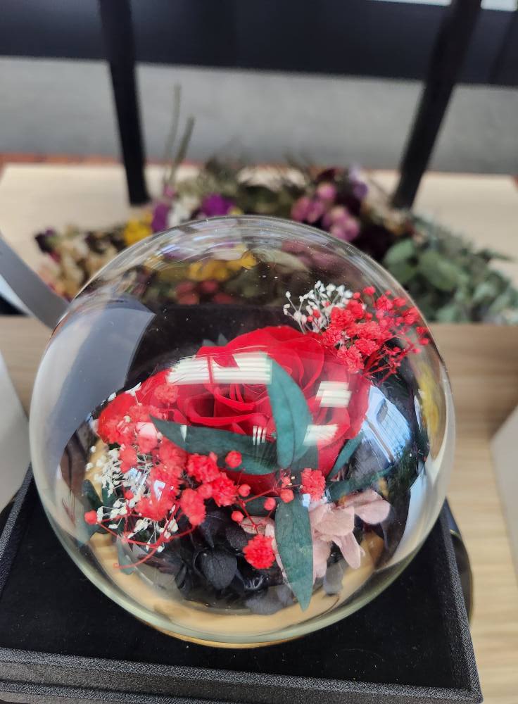 Preserved Red/Pink Roses in Light Up Globe - Preserved red and pink roses glow beneath a clear glass dome-an intimate, romantic flower arrangement perfect for Valentine's Day, an anniversary, or a "just because" surprise for the person you're thinking of. The enclosed globe and soft internal light focus attention on the bloom, creating a museum-like moment that makes her feel treasured and remembered.  This design pairs the deep red and pink roses with tiny white filler blooms, bright red spray accents, and dark foliage set on a wood presentation base, delivering high contrast and timeless elegance. The glass dome protects the preserved flower so its color and texture stay vivid, while the compact scale makes it ideal for a bedside table, desk, or mantel.  Give a lasting, low-maintenance gift that reads as both romantic and refined-the kind of keepsake that sparks a smile every time they pass it. Comes ready in a black presentation box, arranged and lit inside the globe for immediate display; no watering or upkeep needed.