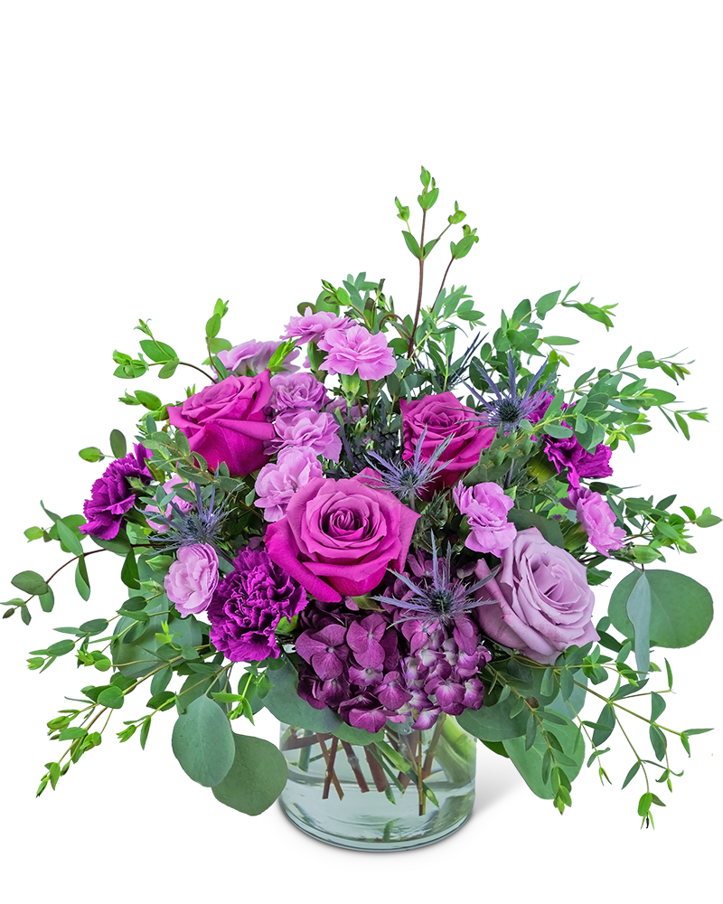 Majestic Magenta - The rich, regal tones of this arrangement will add class to any space. Majestic Magenta contains hydrangea, roses, carnations, and premium foliage including Silver Dollar Eucalyptus. This colorful piece will be perfect on a coffee table or desk.