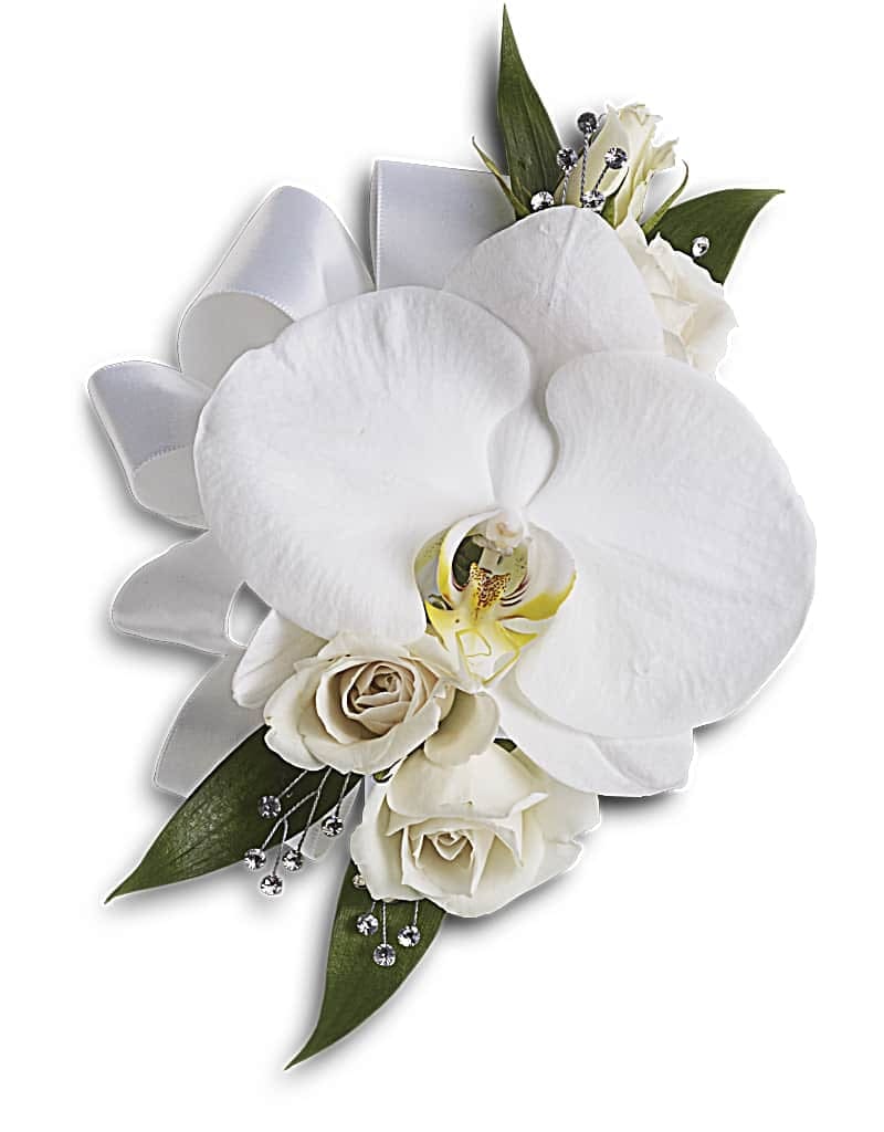 White orchid and rose corsage with ribbon and bead accents