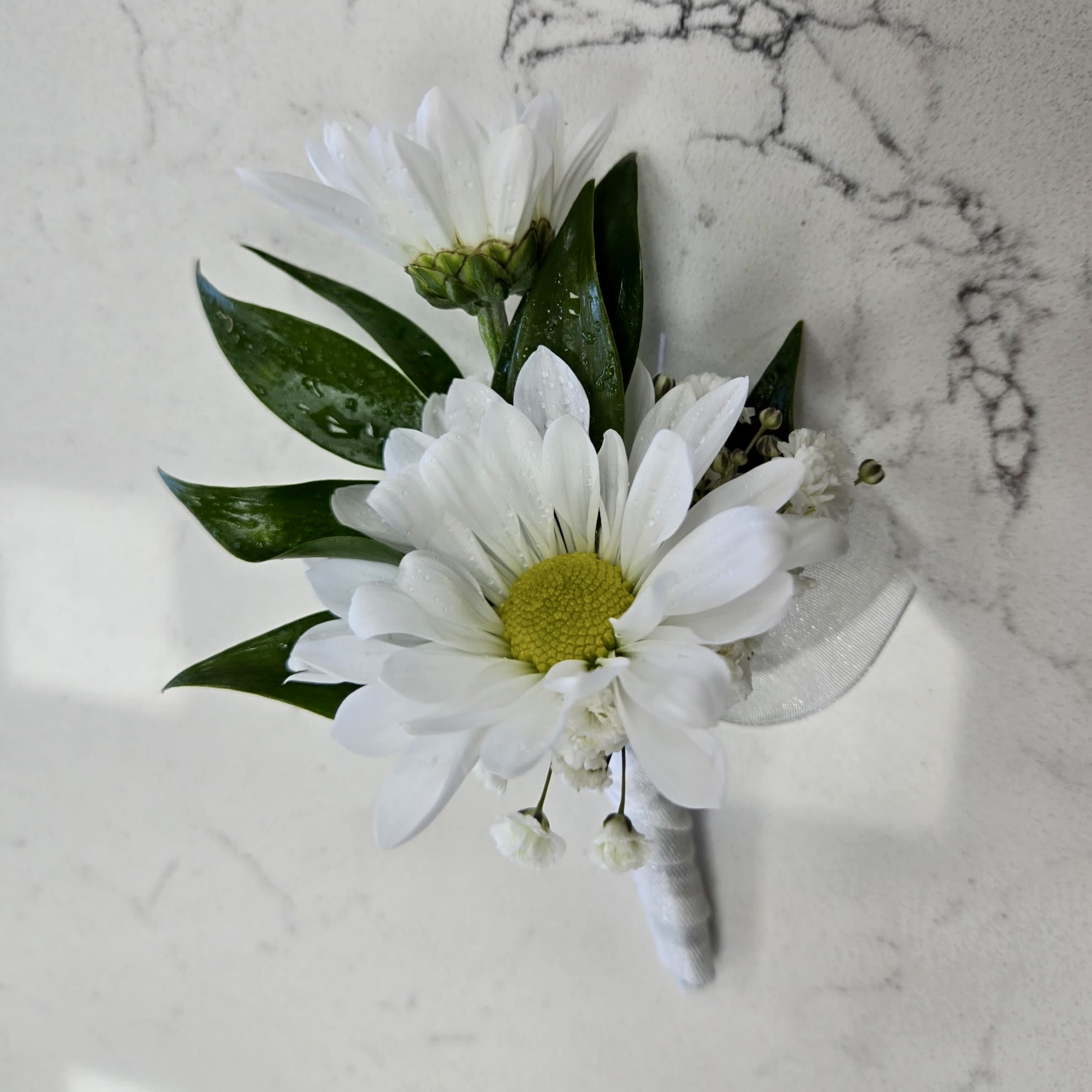 White Daisy Boutonniere  - This White Daisy Boutonniere Includes, White Ribbon, White Daisy, Babies Breath, and Gentle Greenery. Or as Similar as Possible