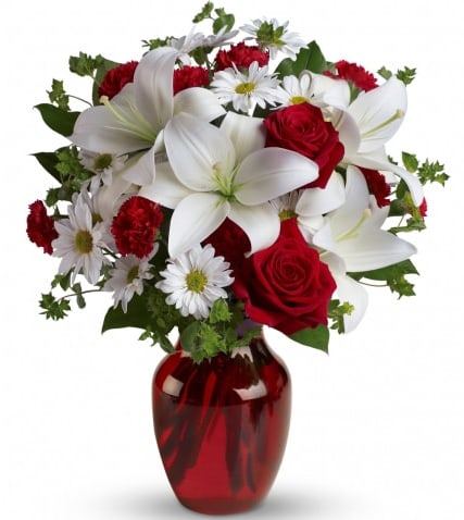 Boldly Bashful red roses with white lilies - This bold and vibrant bouquet beautifully captures the feeling of a crisp and sunny day. Full of life, color, and a variety of textures, this charming bouquet is the perfect gift for family, friends, or loved ones. Treat them to a gorgeous pitcher of fresh fall blooms for a special day or just because!  Includes: Red Roses, assorted white flowers, baby breath and Greenery, clear red vase (vase color may vary due to availability).  Standard: one dozen red roses Deluxe: two dozen red roses Premium: three dozen red roses  Complimentary card with envelope, please send card message with the order.
