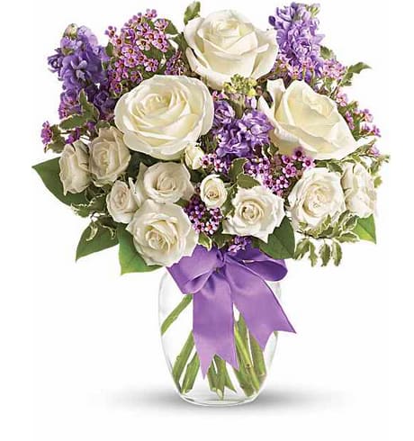 Enchanted Cottage - As enchanting as coming across a hidden cottage in the countryside! Lush white roses and purple stock mix with delicate lavender waxflower and green pitta negra for an elegant English garden look. The decorative bouquet is finished with a pretty satin ribbon.  White roses meet lavender stock and waxflower in this lush, elegant arrangement. Presented in a classic clear glass vase with purple satin ribbon. Orientation: One-Sided 